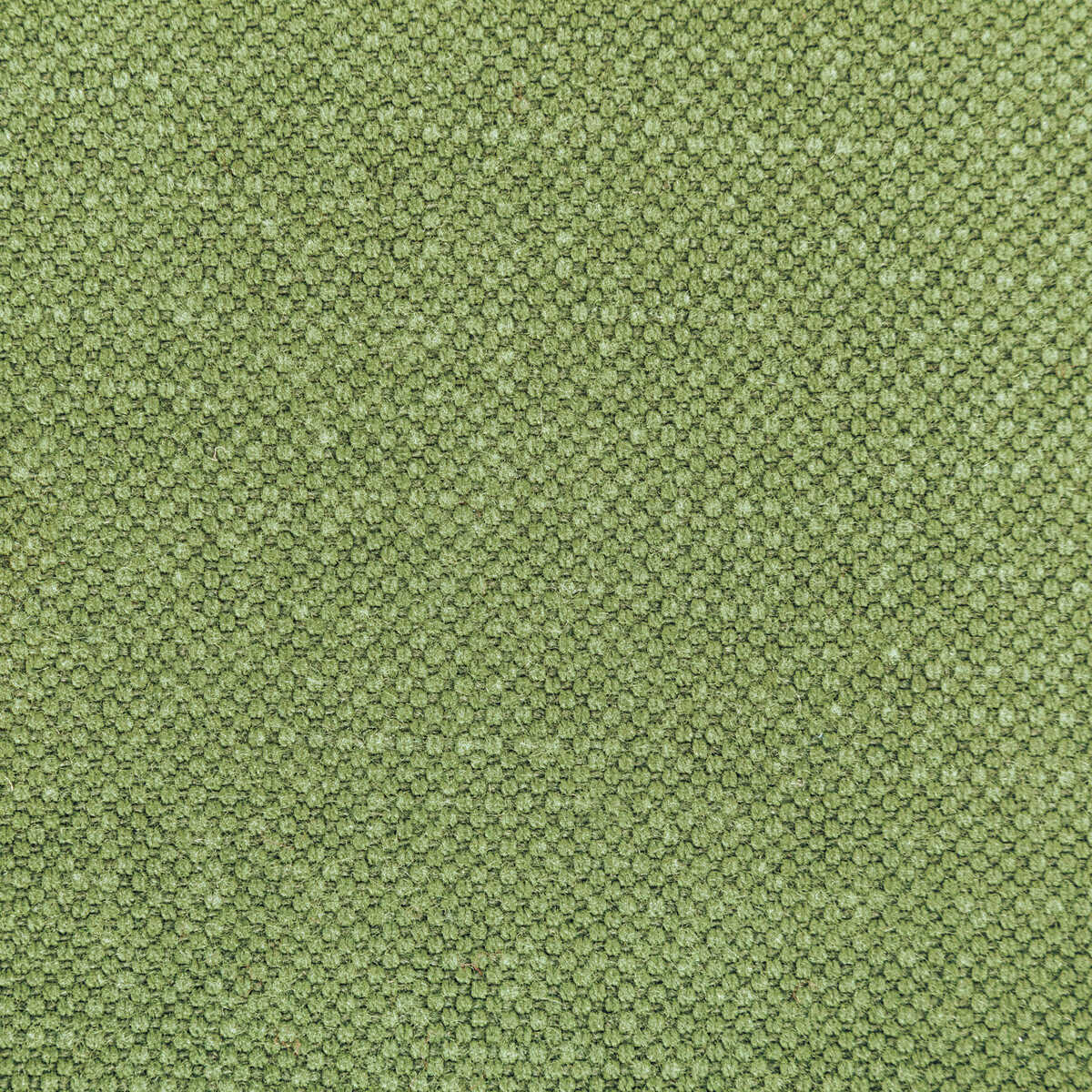 Carson - Frog - KRAVET BASICS Fabric