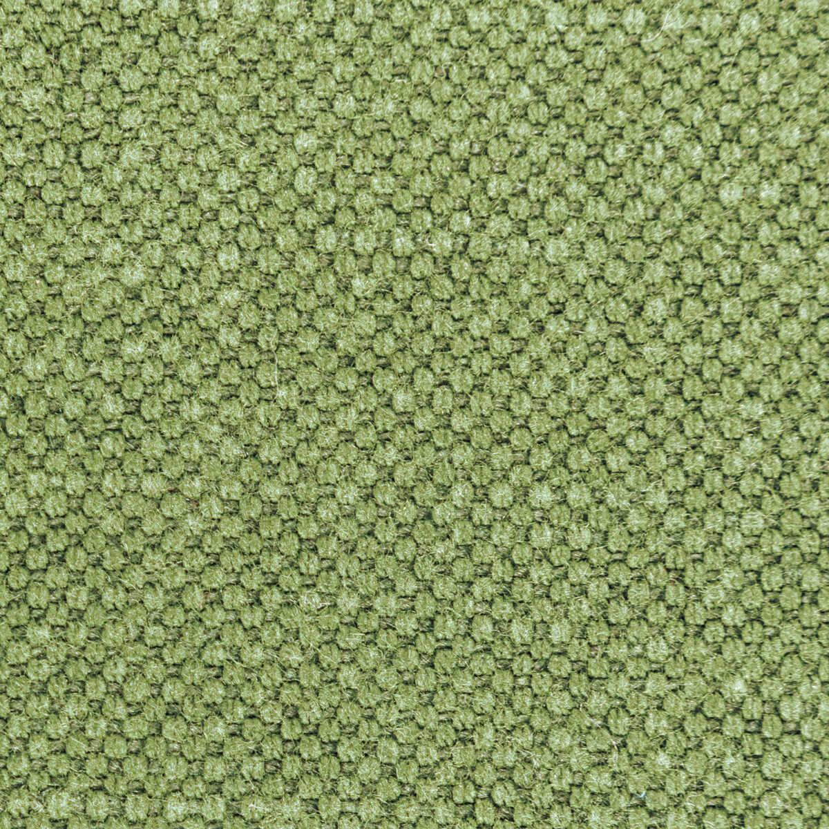 Carson - Frog - KRAVET BASICS Fabric
