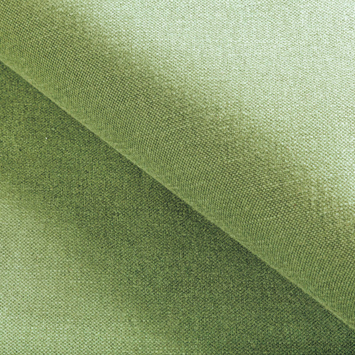 Carson - Frog - KRAVET BASICS Fabric