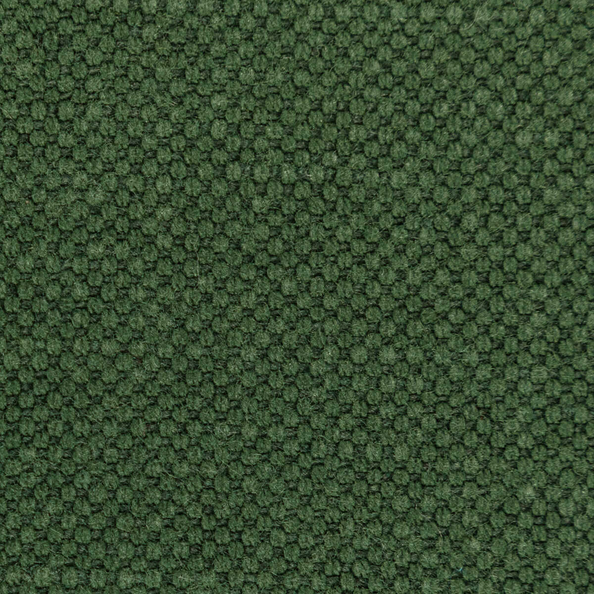 Carson - Envy - KRAVET BASICS Fabric