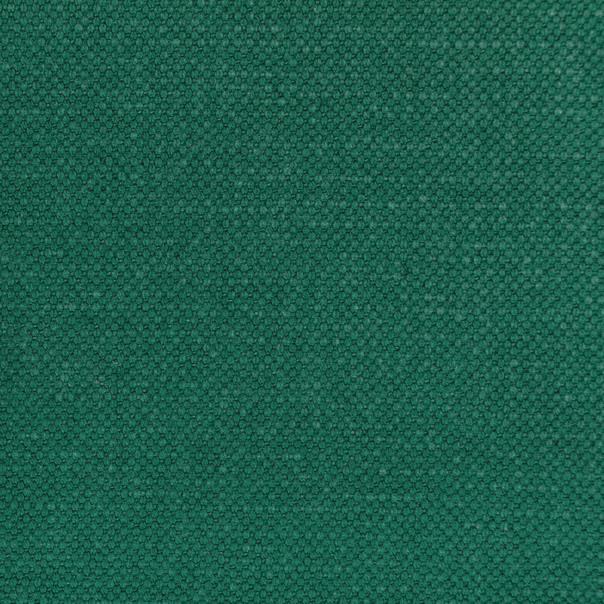 Carson - Garden - Kravet Basics Tela