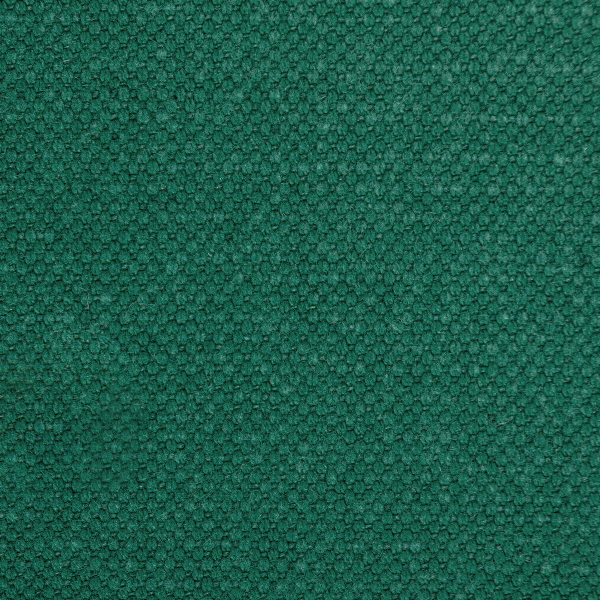 Carson - Garden - Kravet Basics Tela