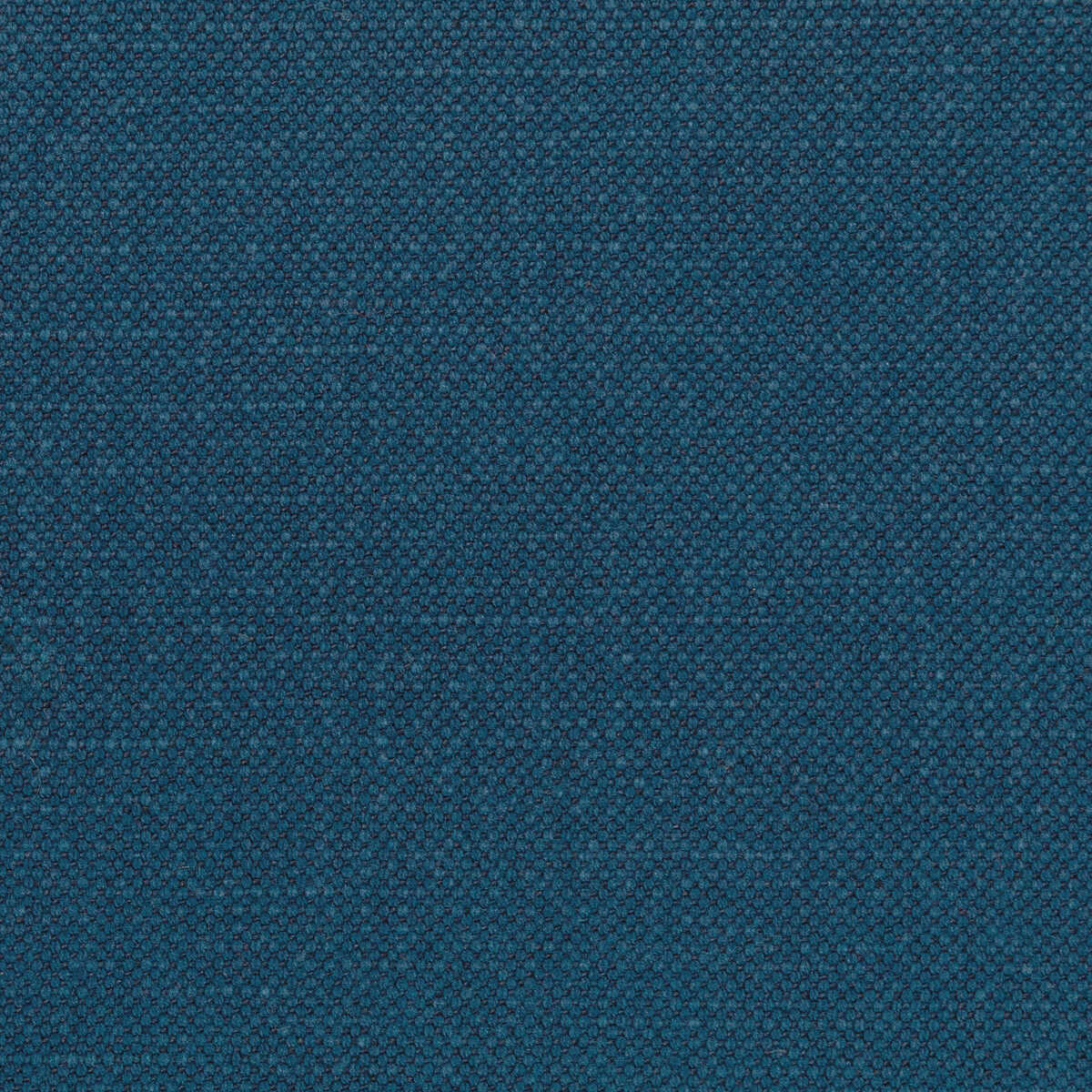Carson - Indigo