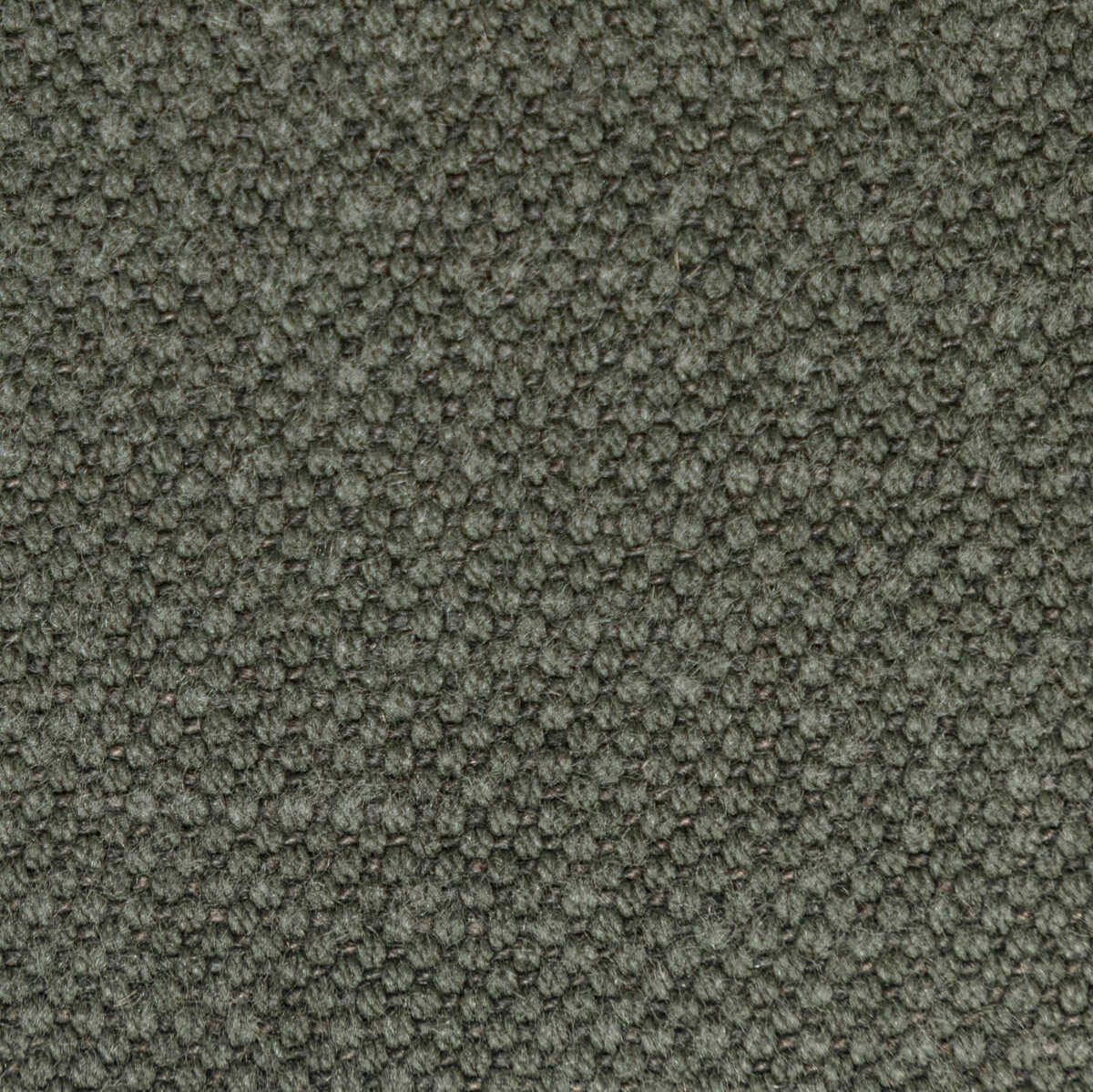 Carson - Dolphin - KRAVET BASICS Fabric