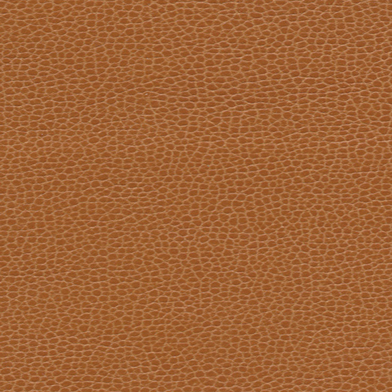 PROMESSA-SADDLE-SCHUMACHER-363-3140