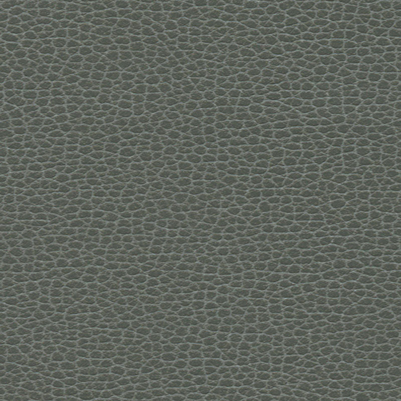 PROMESSA-SHALE-SCHUMACHER-363-5817