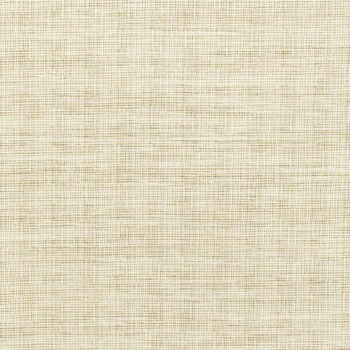 Kravet Smart 36303 1 Fabric