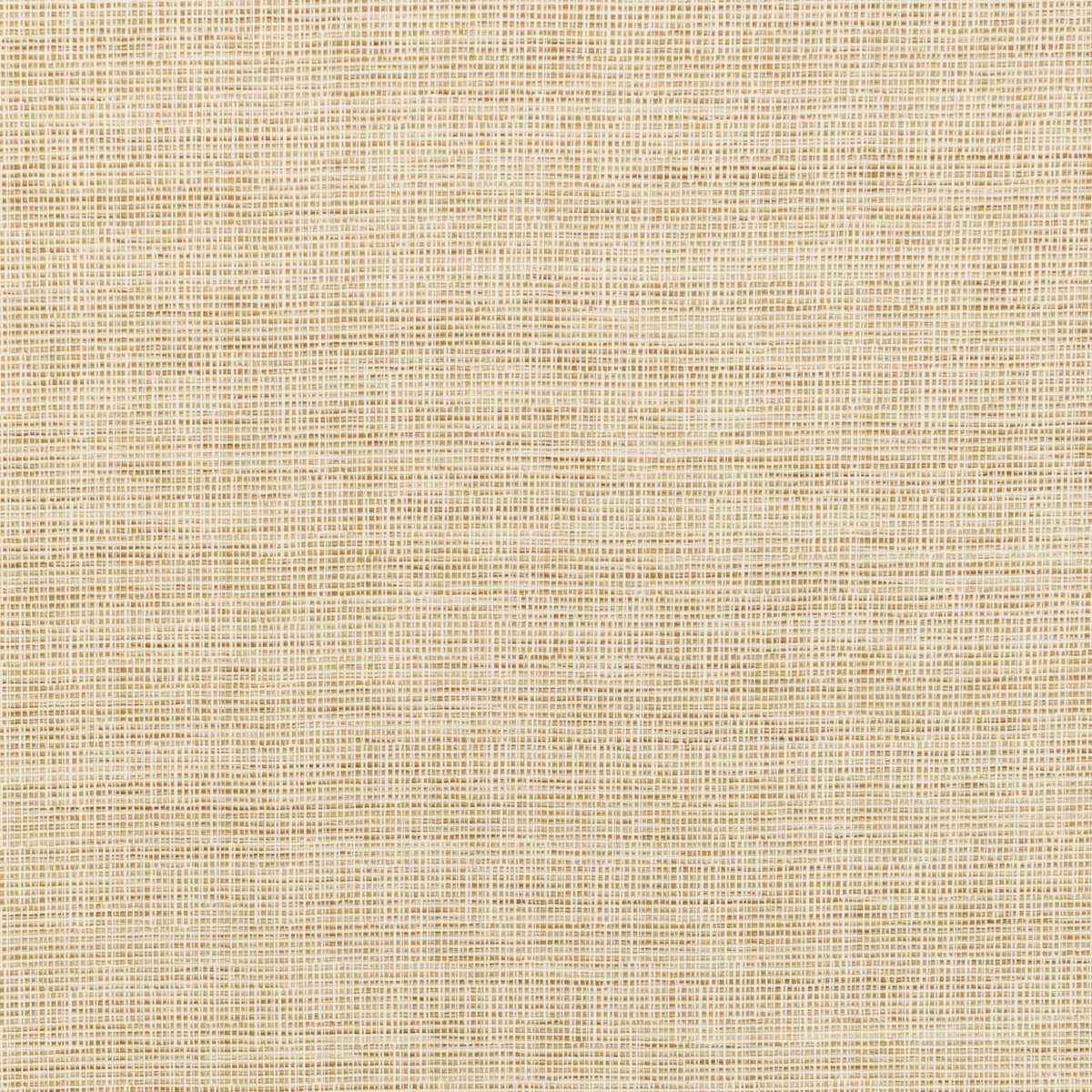 Kravet Smart 36303 16 Fabric