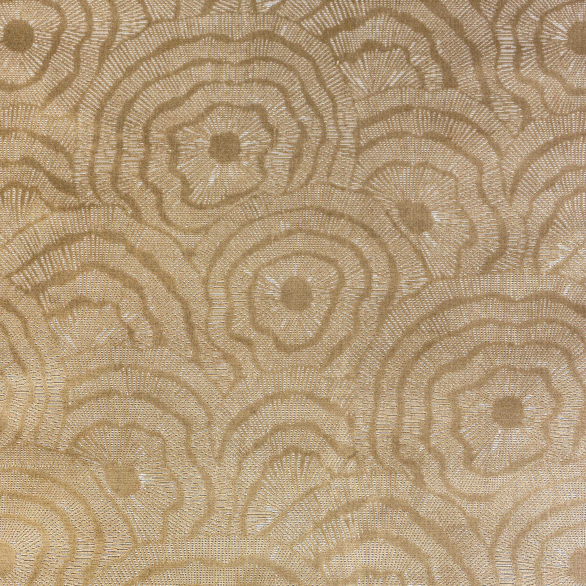 Panache Velvet - Gold - KRAVET COUTURE Fabric