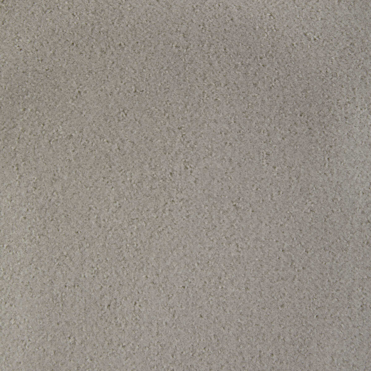 Fomo - Bramble - KRAVET CONTRACT Tela