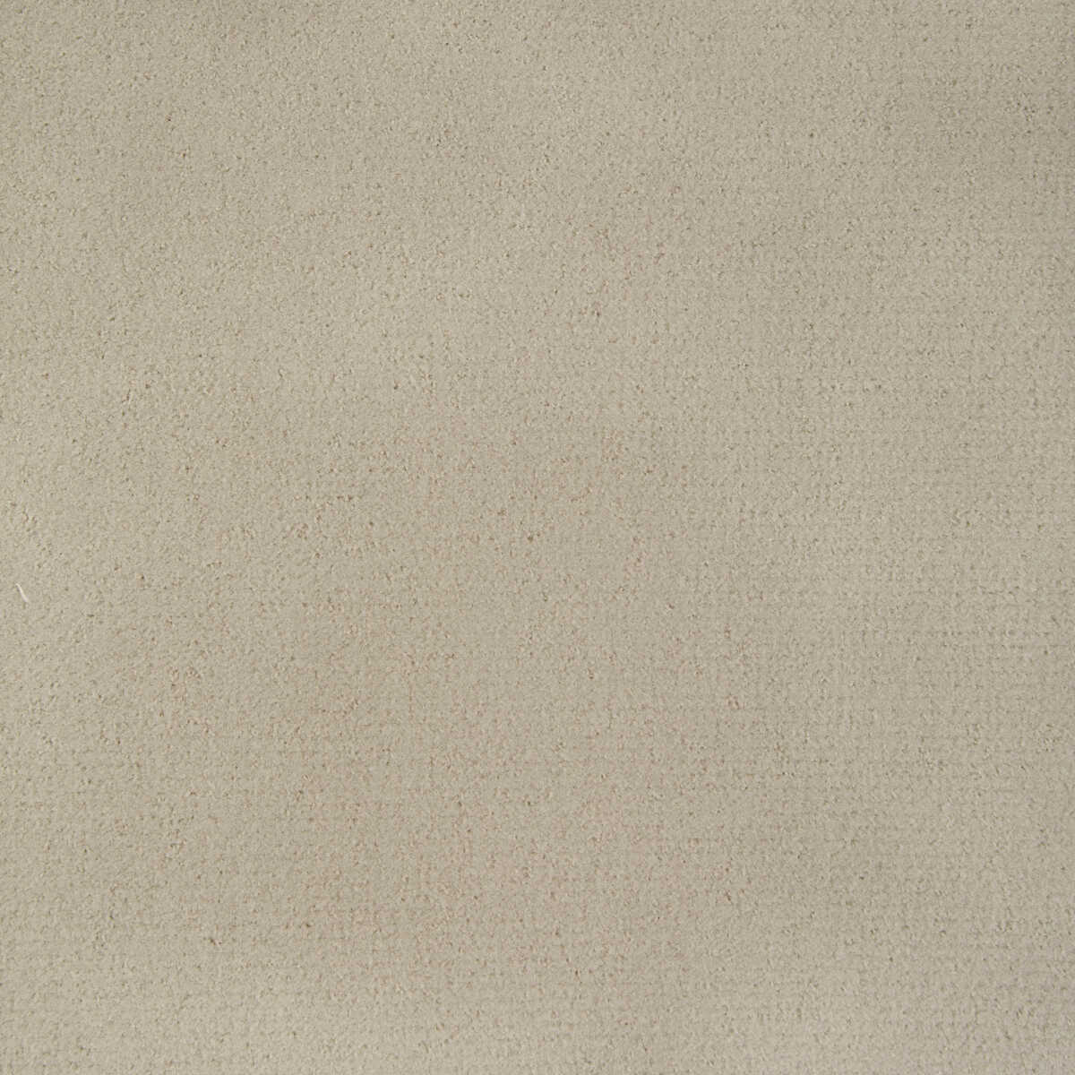 Fomo - Au Lait - KRAVET CONTRACT Tela