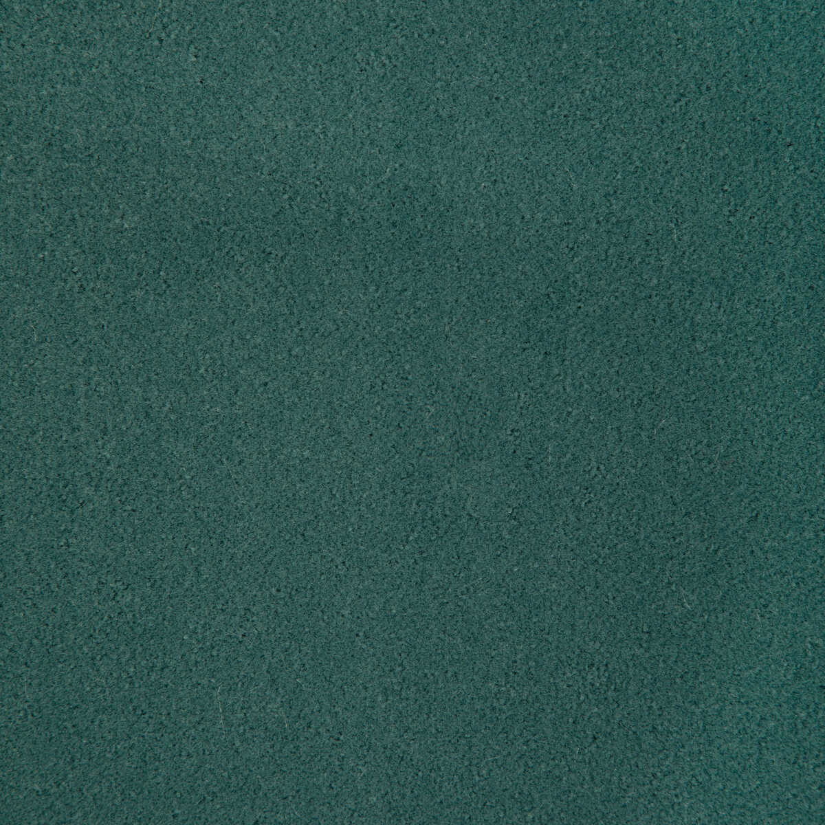 Fomo - Amalfi - KRAVET CONTRACT Fabric