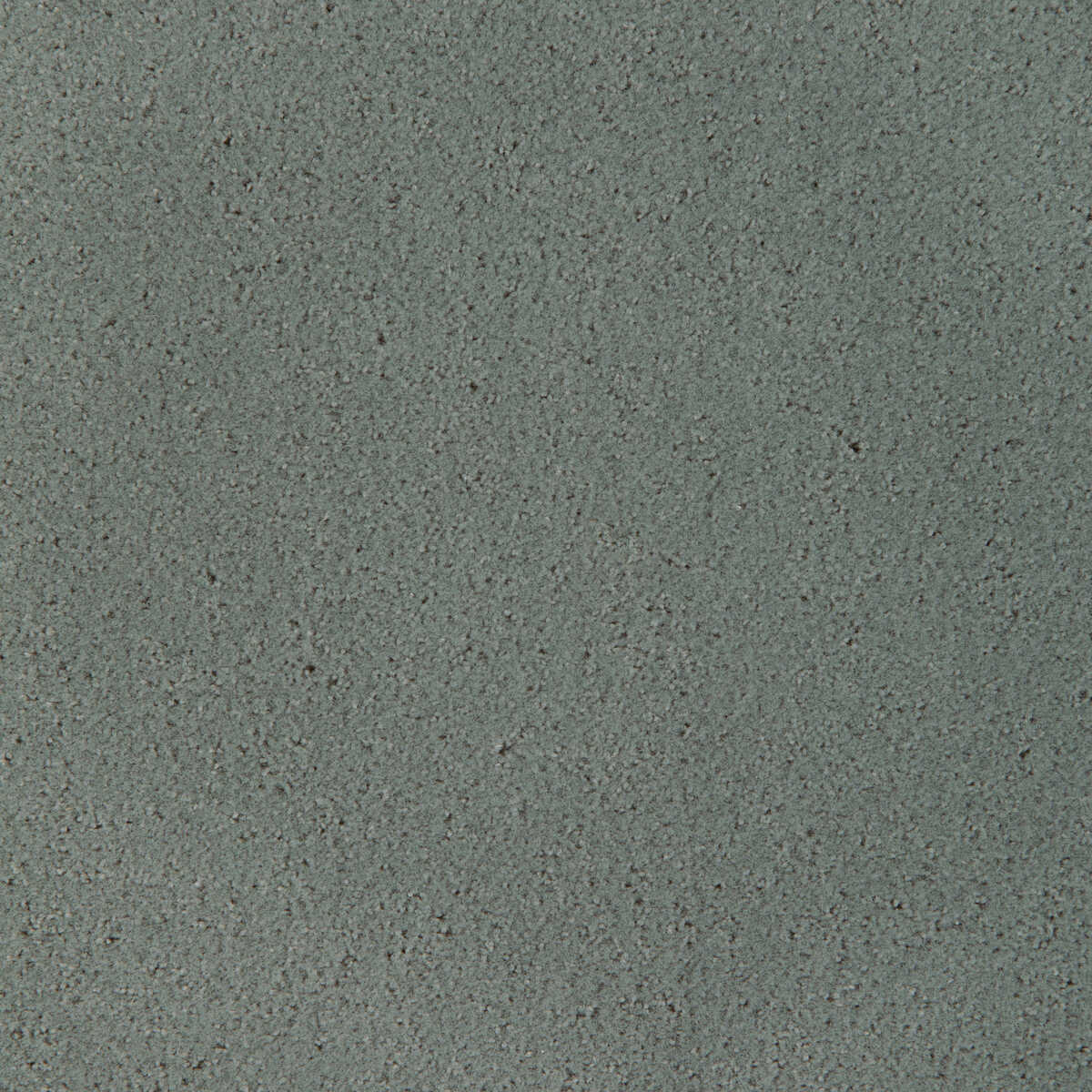 Fomo - Koala - KRAVET CONTRACT Fabric