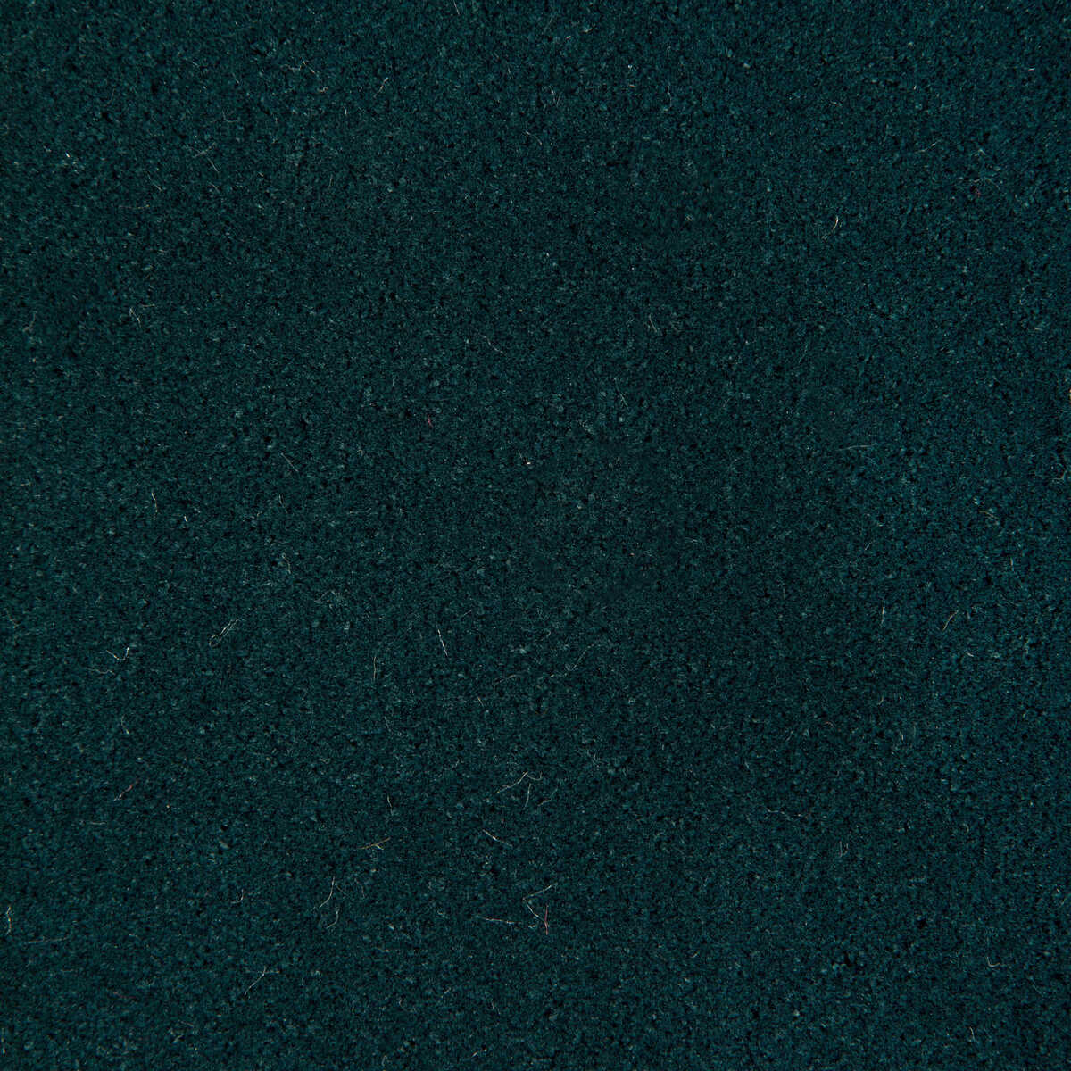 Fomo - Egyptian Green - KRAVET CONTRACT Fabric