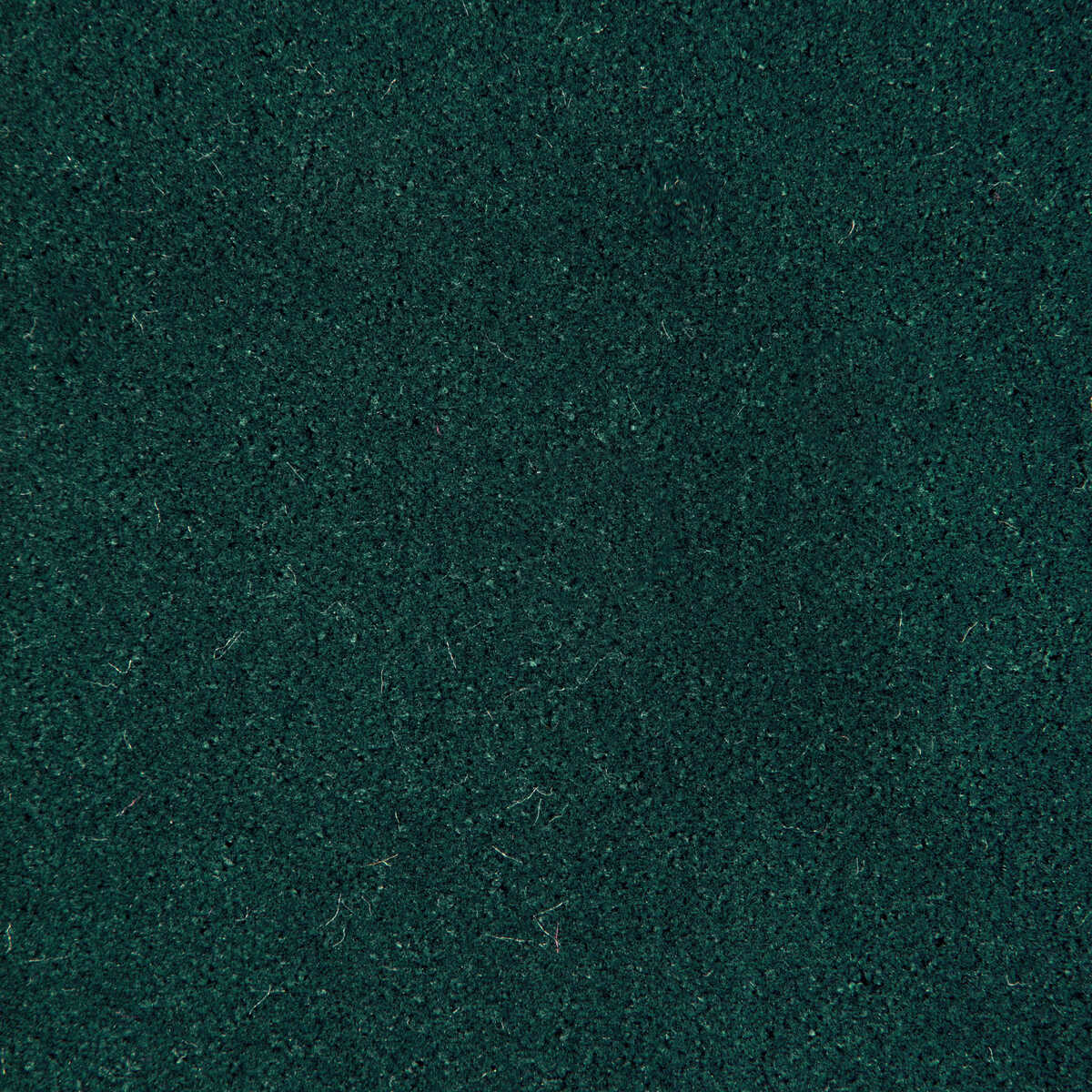 Fomo - Veridian - KRAVET CONTRACT Fabric
