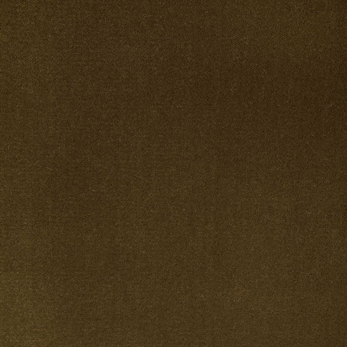 Fomo - Bronze