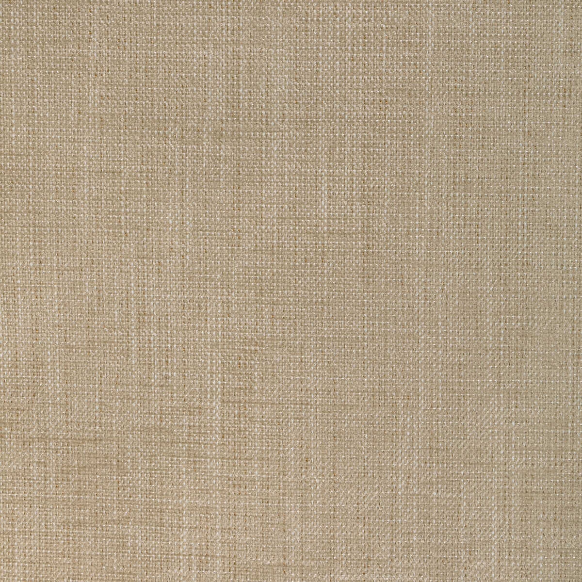 Poet Plain - Dune - KRAVET BASICS Fabric