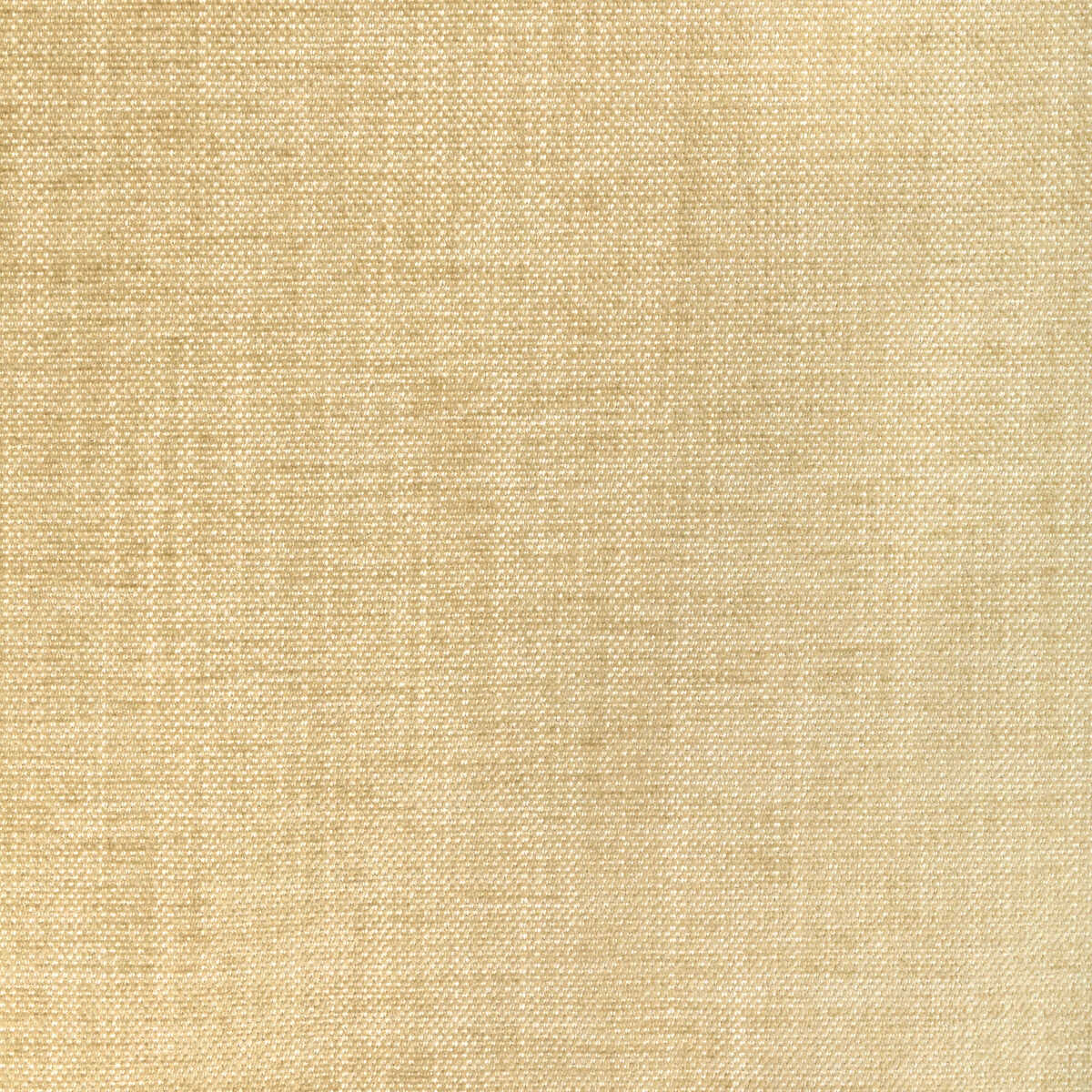 Kravet Smart - 36650-1116 - KRAVET SMART Fabric