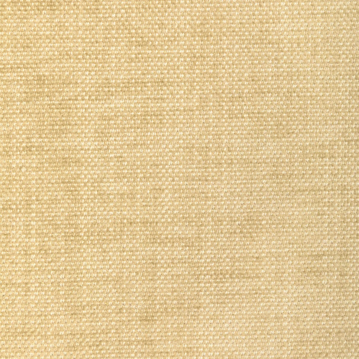 Kravet Smart - 36650-1116 - KRAVET SMART Fabric