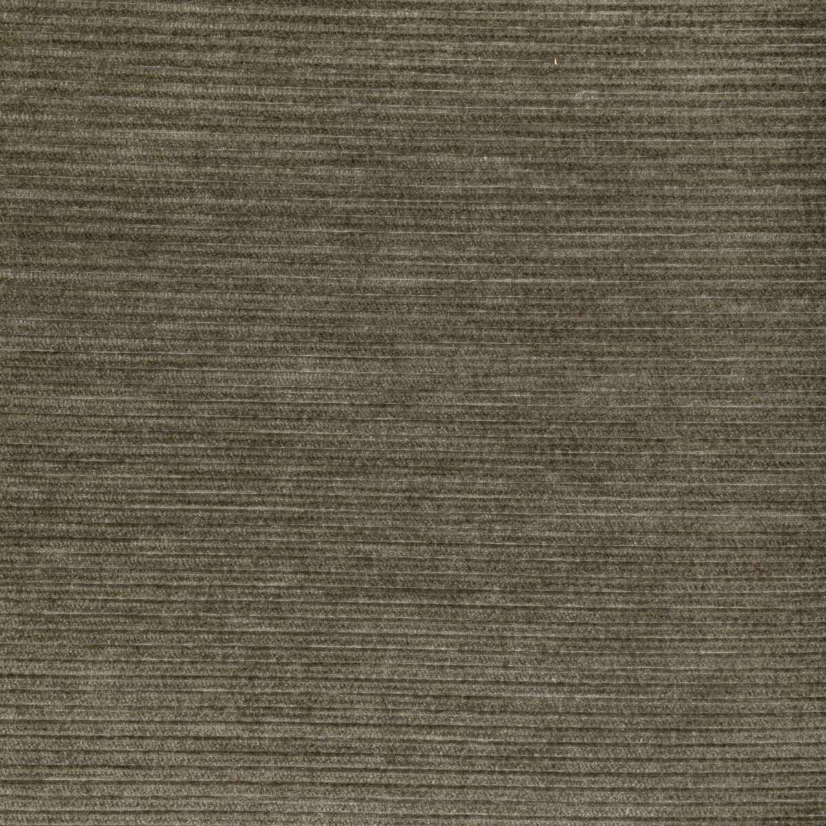 Kravet Smart 36651 106 Fabric