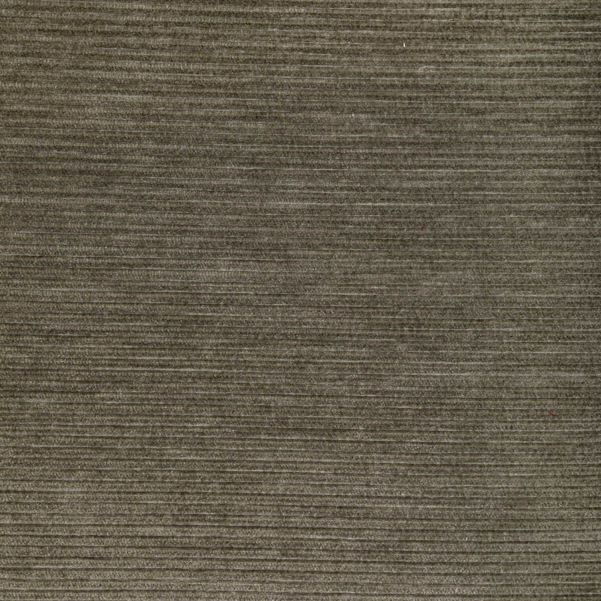 Kravet Smart - 36651-106 - KRAVET SMART Fabric