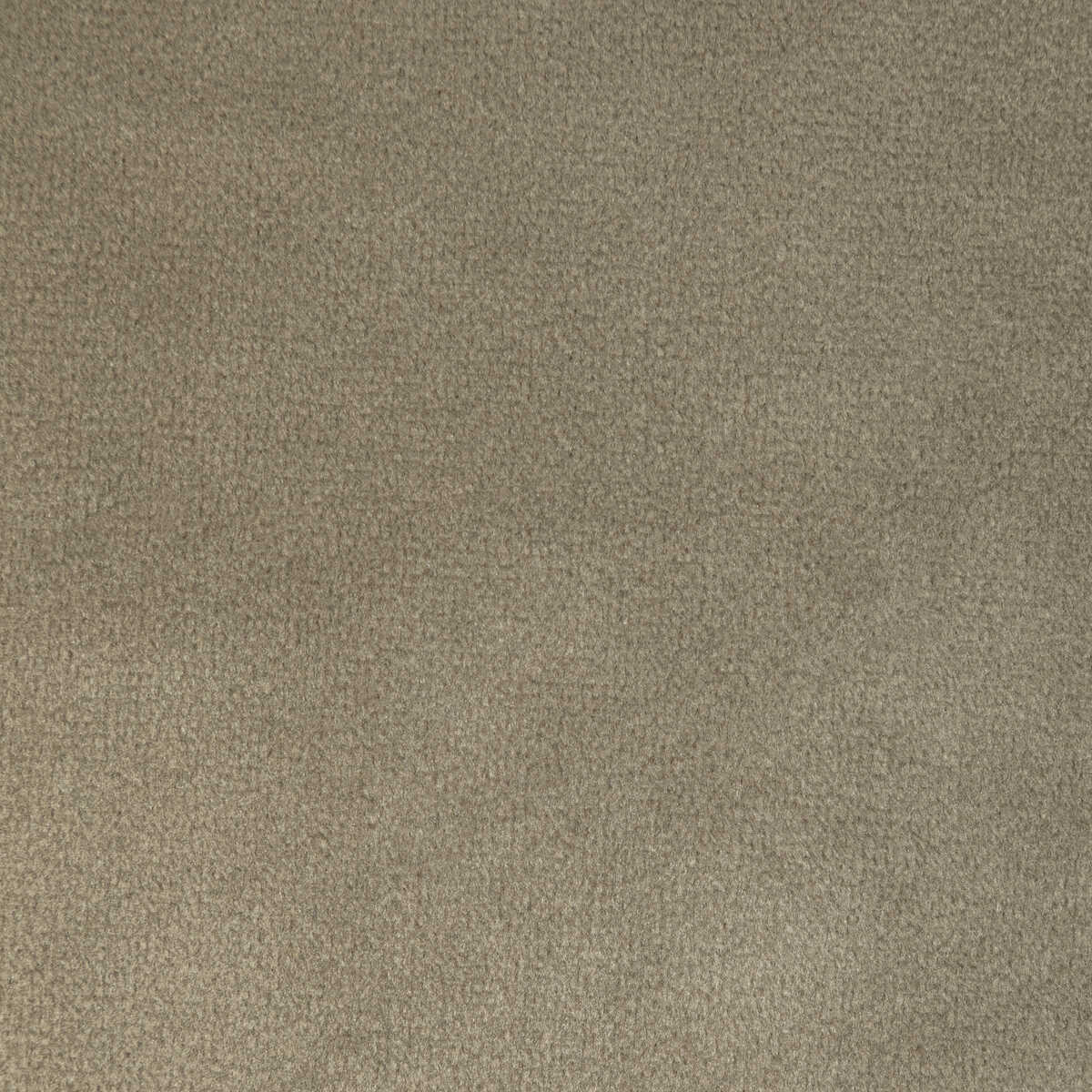 Rocco Velvet - Mink - KRAVET CONTRACT Fabric