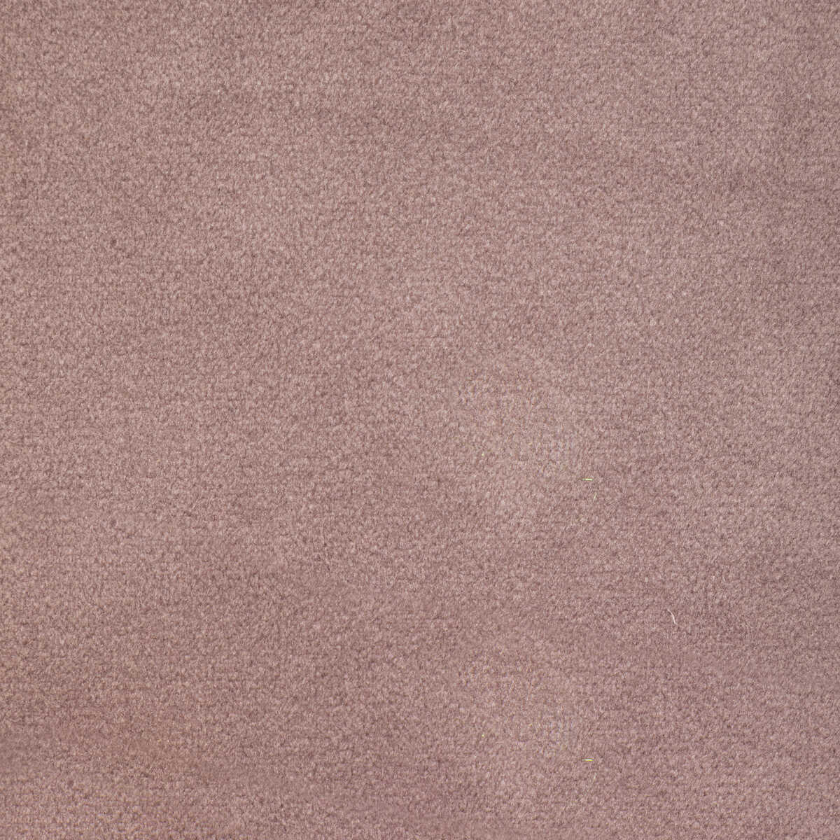 Rocco Velvet - Wisteria - KRAVET CONTRACT Tela