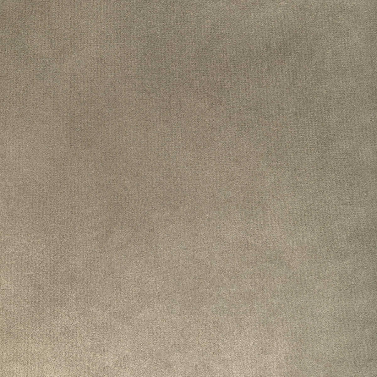 Rocco Velvet - Stone