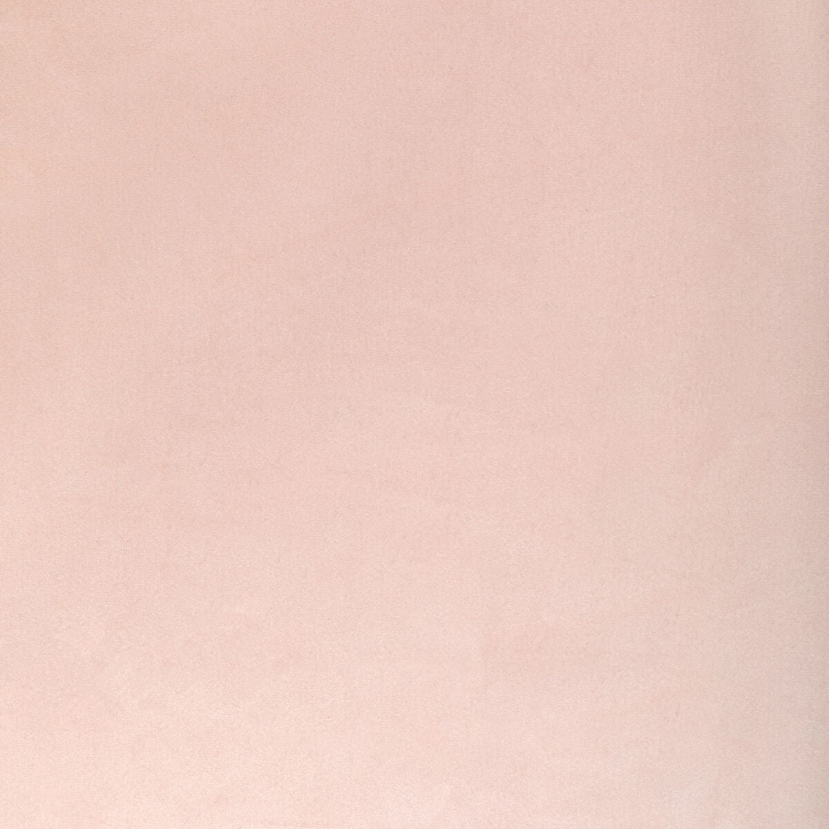 Rocco Velvet - Blossom - Kravet Contract Fabric