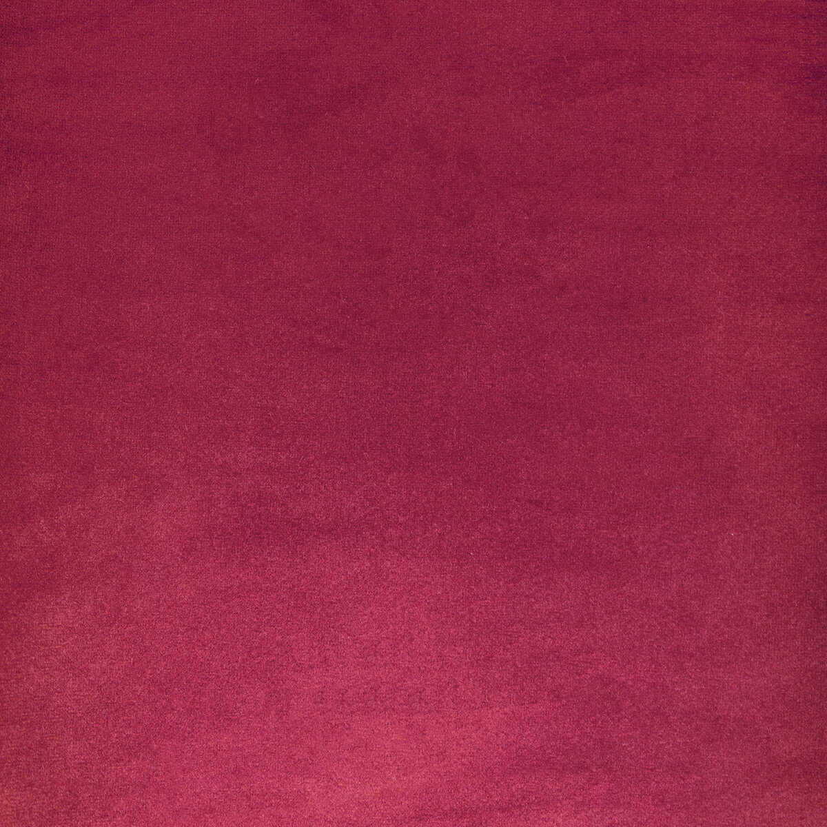 Rocco Velvet - Rosa