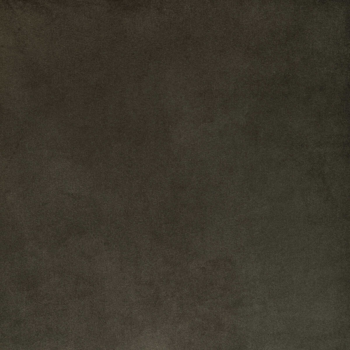 Rocco Velvet - Seal