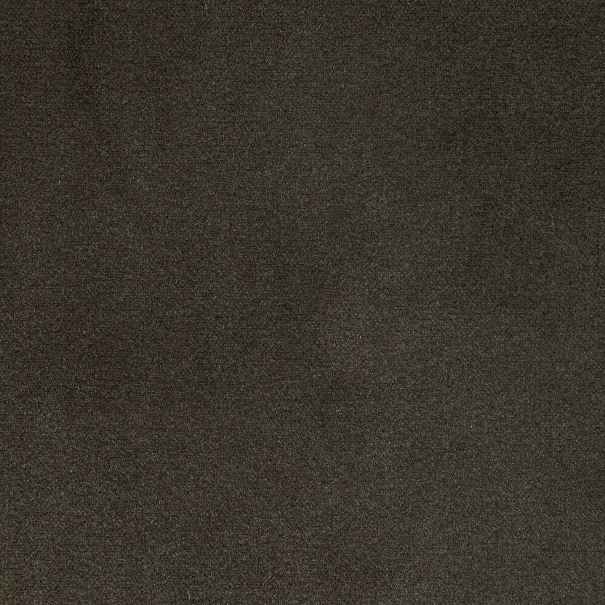 Rocco Velvet - Seal - KRAVET CONTRACT Tela