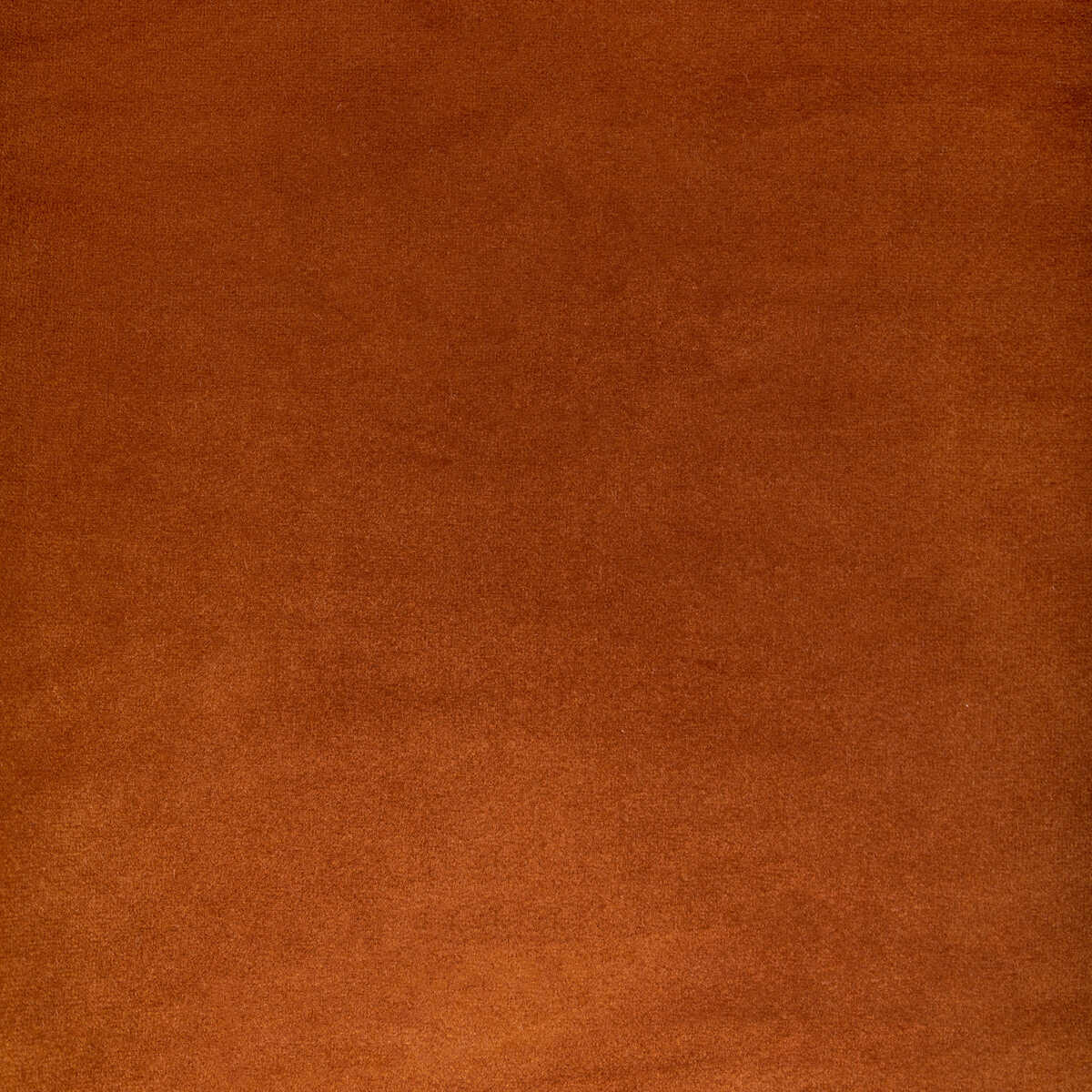 Rocco Velvet - Spice