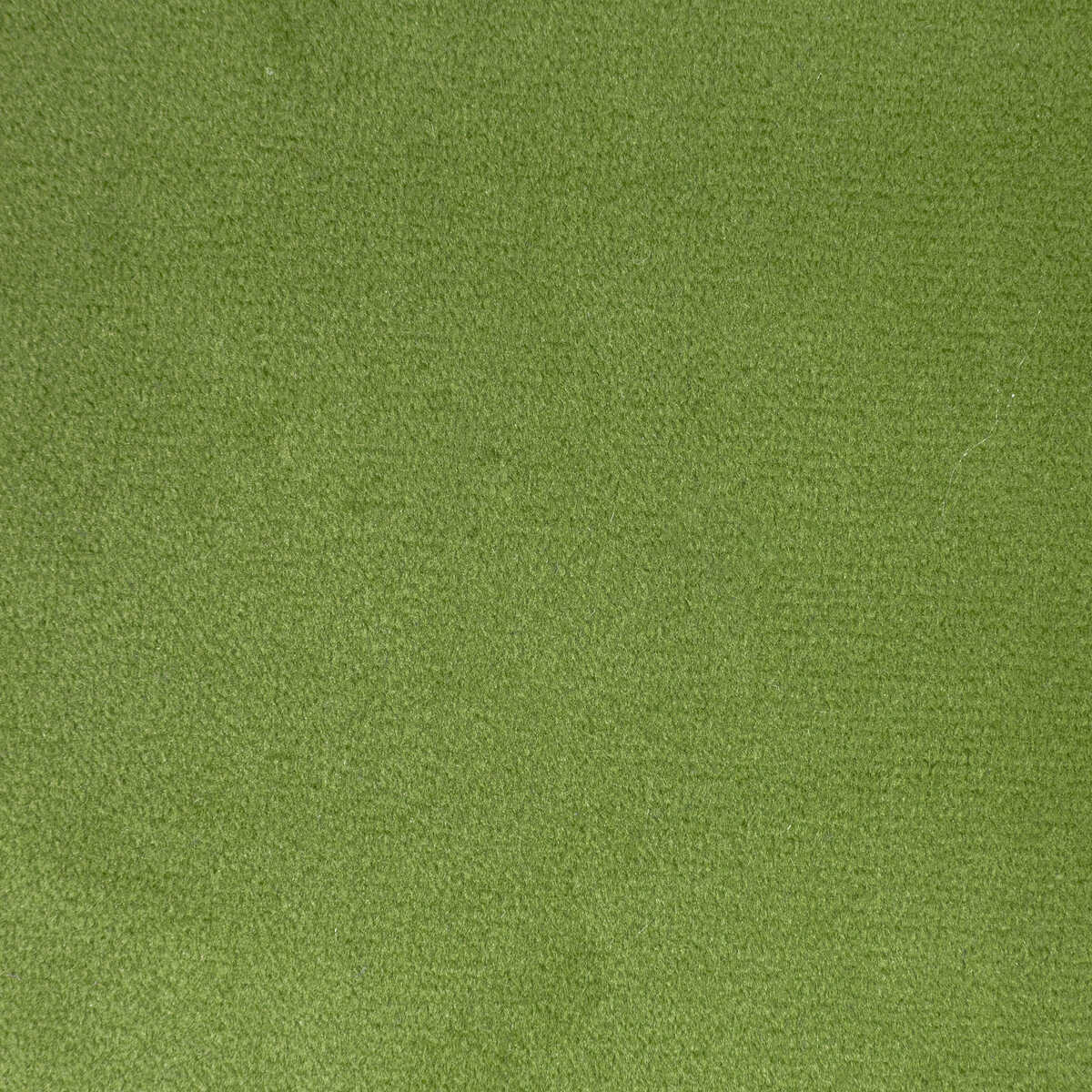 Rocco Velvet - Cactus - KRAVET CONTRACT Tela