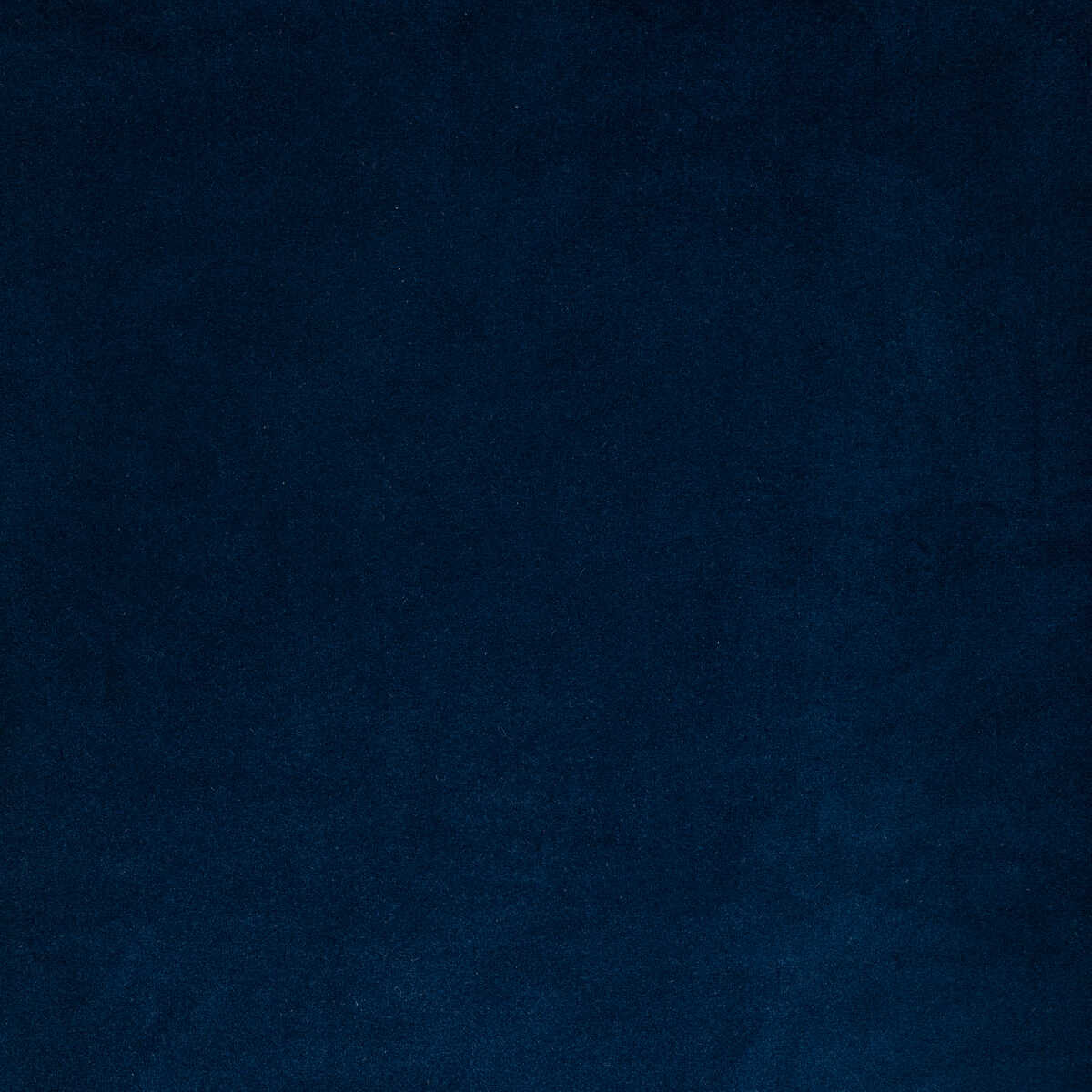 Rocco Velvet - Cobalt