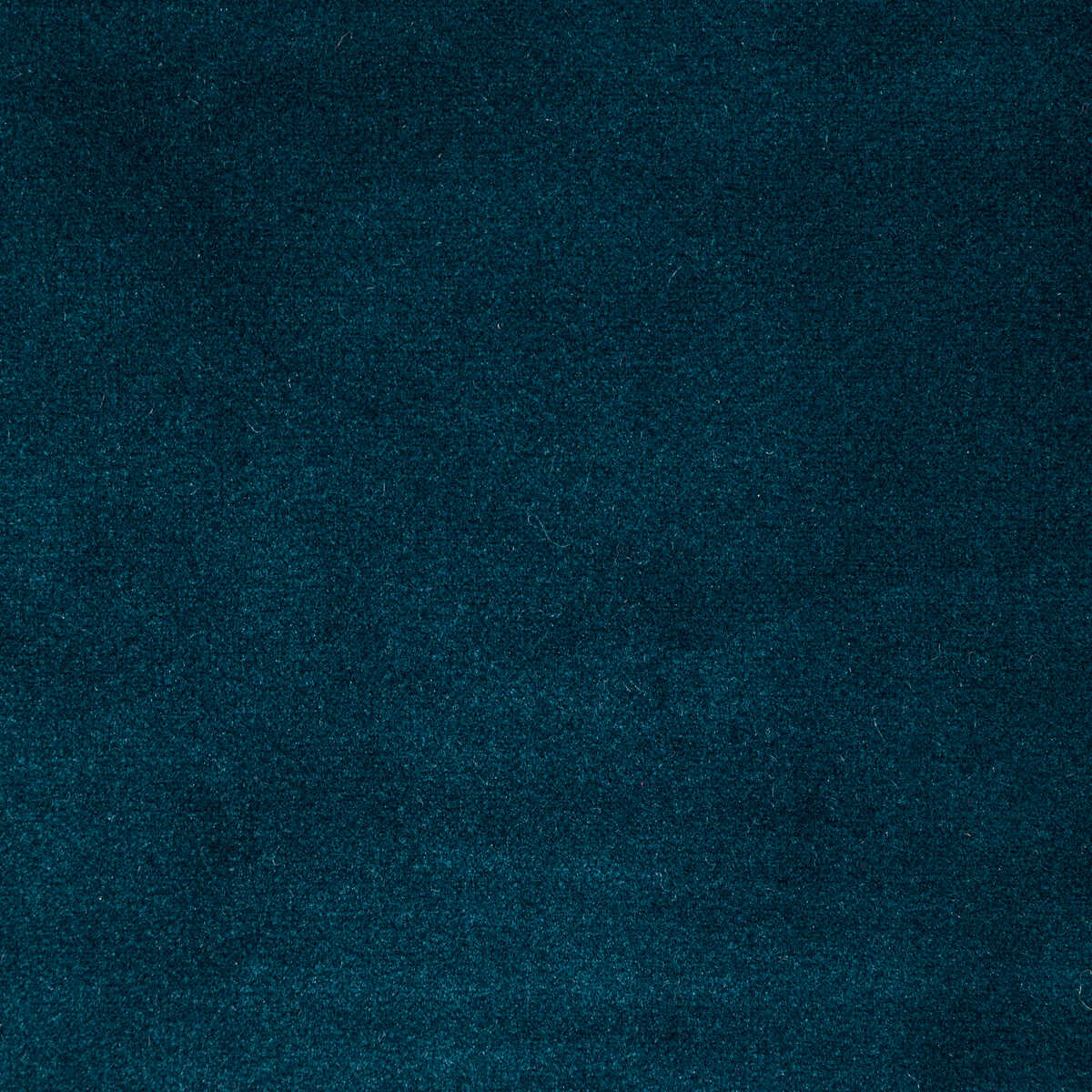 Rocco Velvet - Ink - KRAVET CONTRACT Tela