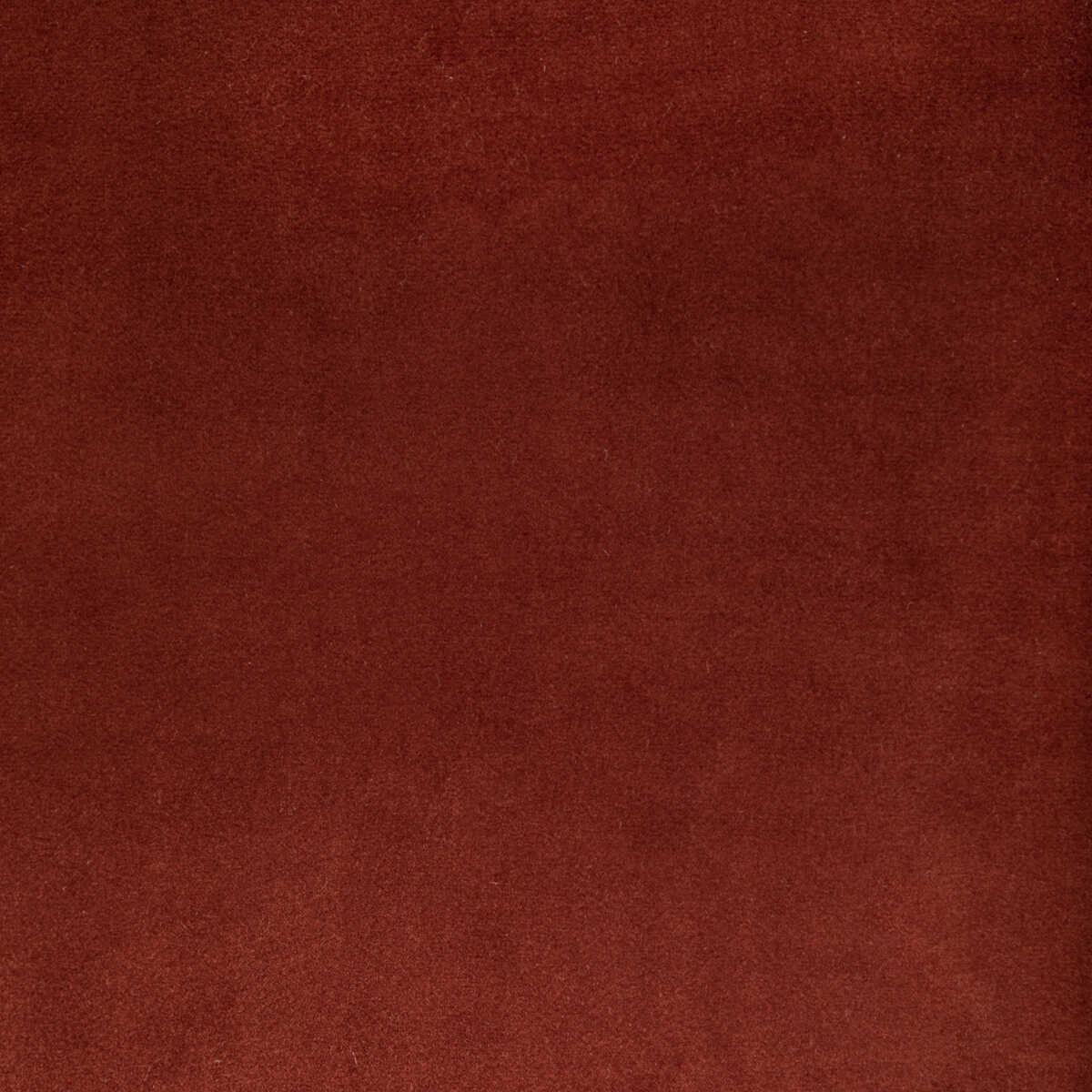 Rocco Velvet - Clay