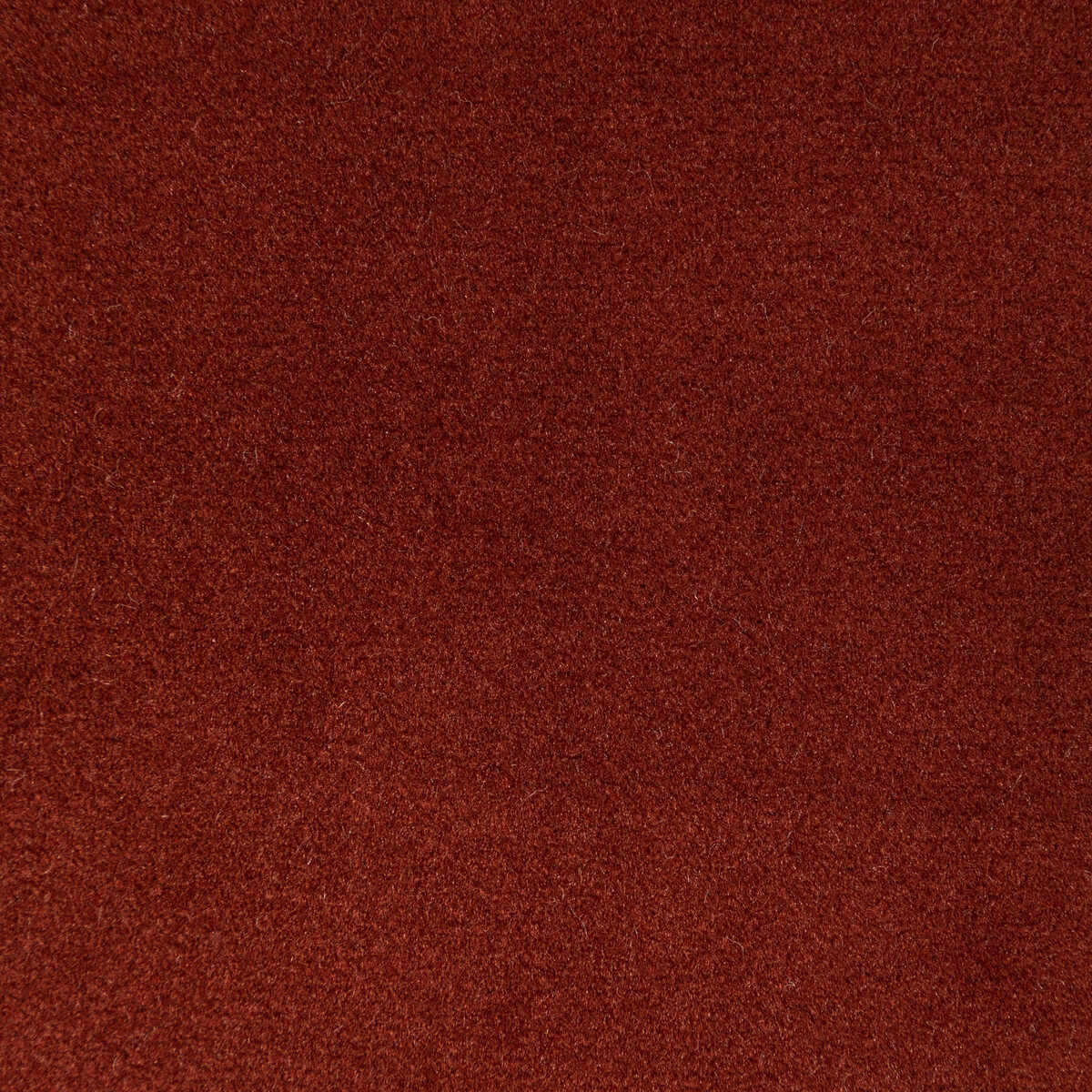 Rocco Velvet - Clay - KRAVET CONTRACT Tela