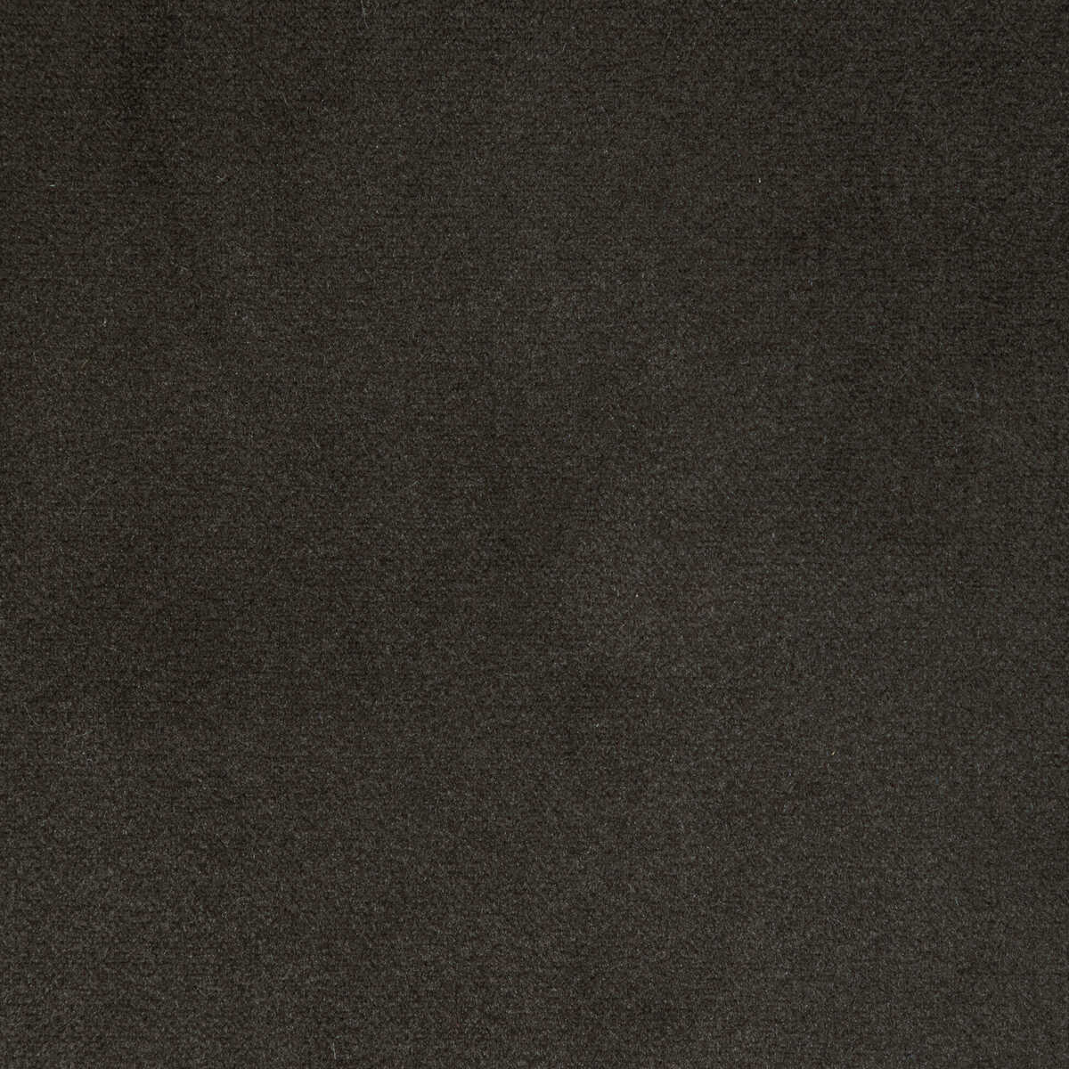 Rocco Velvet - Shadow - KRAVET CONTRACT Fabric