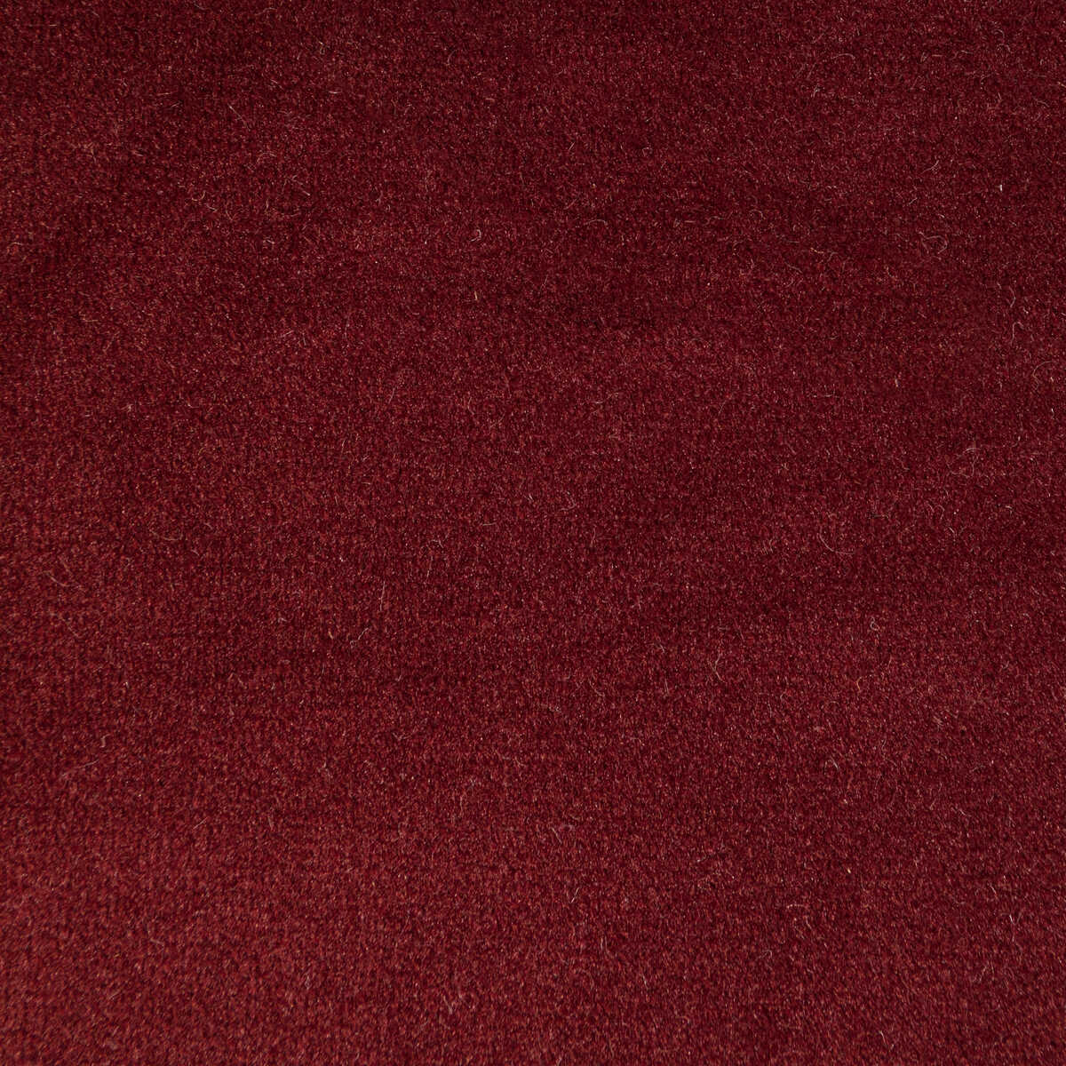 Rocco Velvet - Currant - KRAVET CONTRACT Fabric