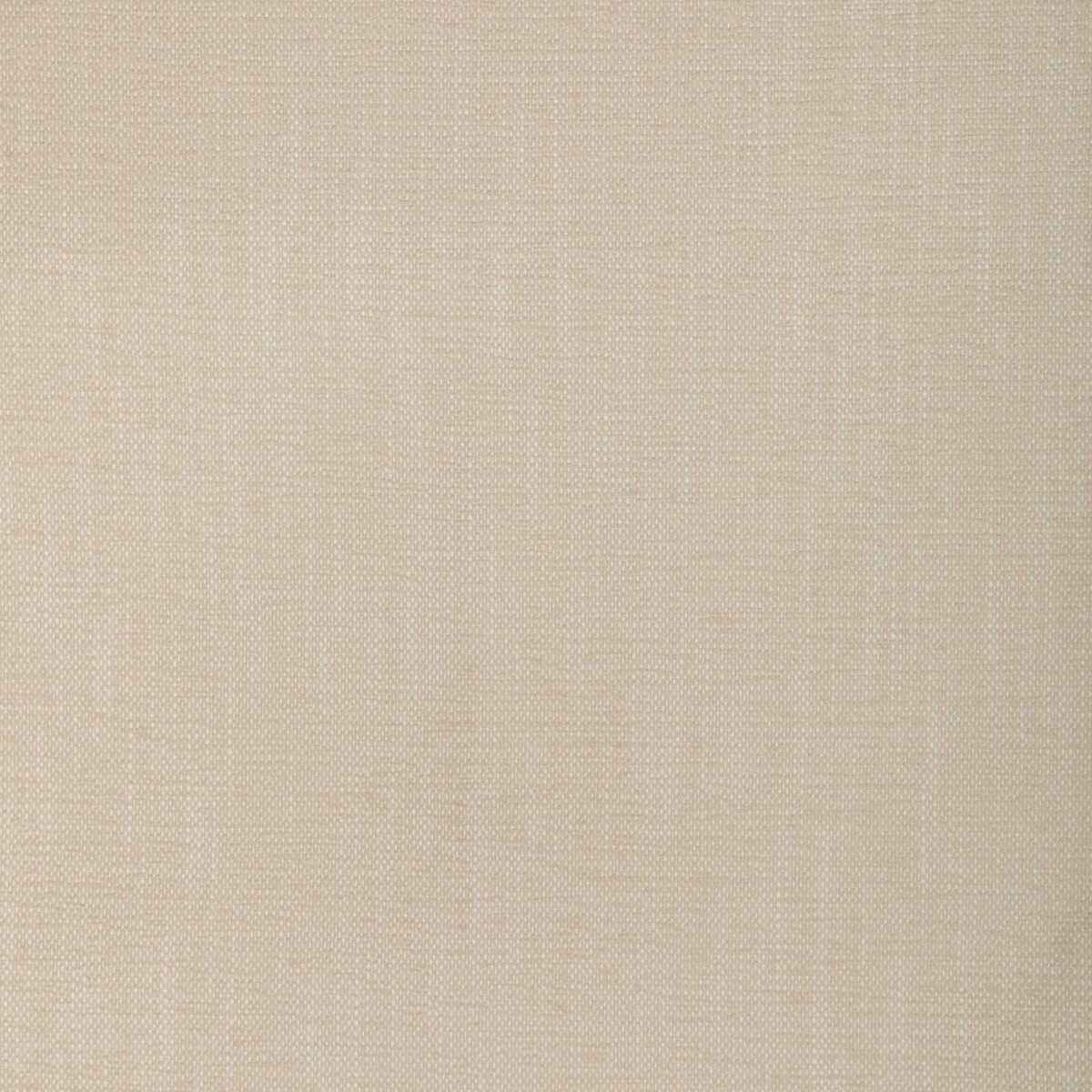 Kravet Smart 36885 1 Fabric
