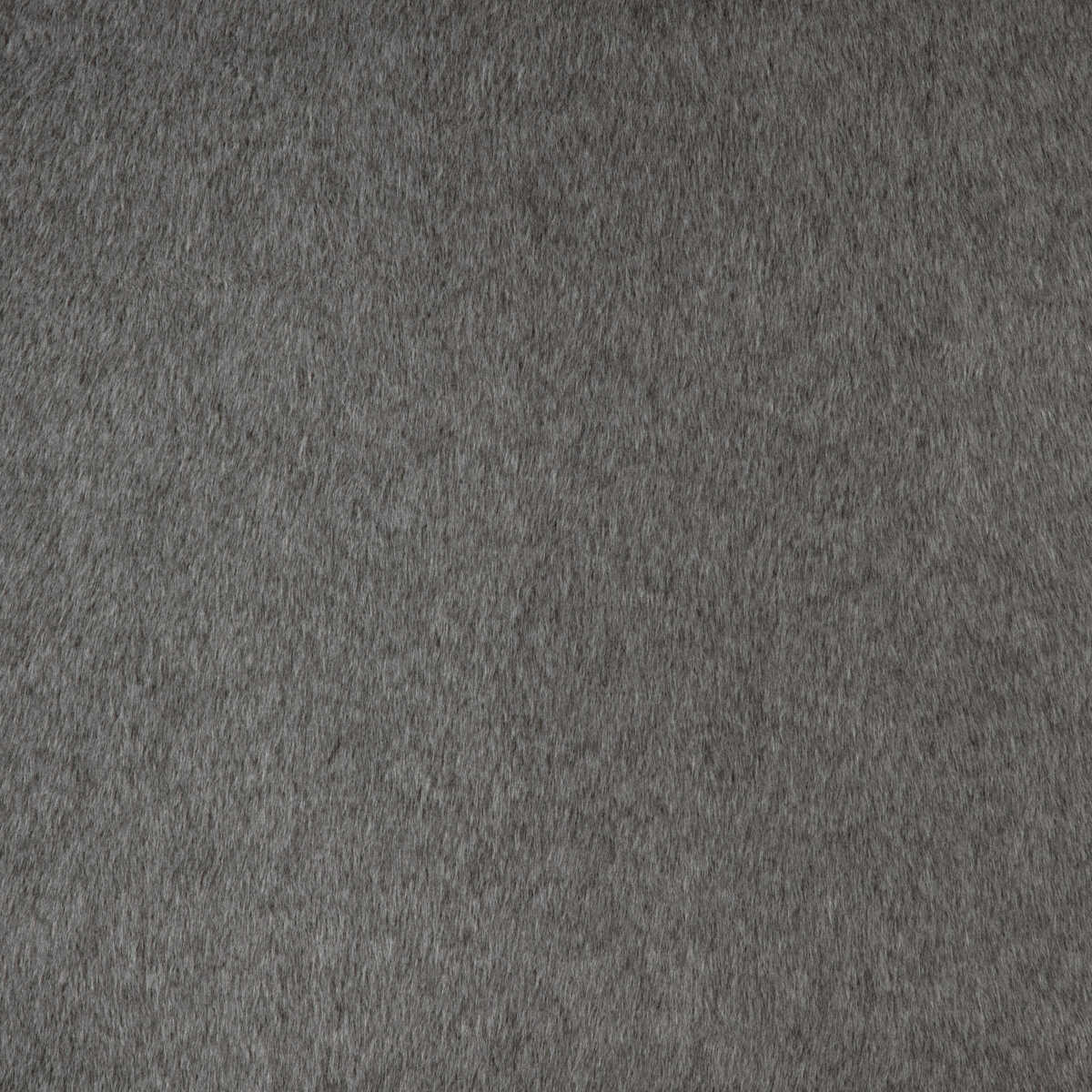 Kravet Basics - 36897-11 - KRAVET BASICS Fabric