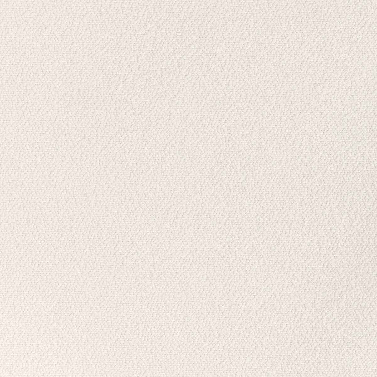 Kravet Smart 36980 101 Fabric