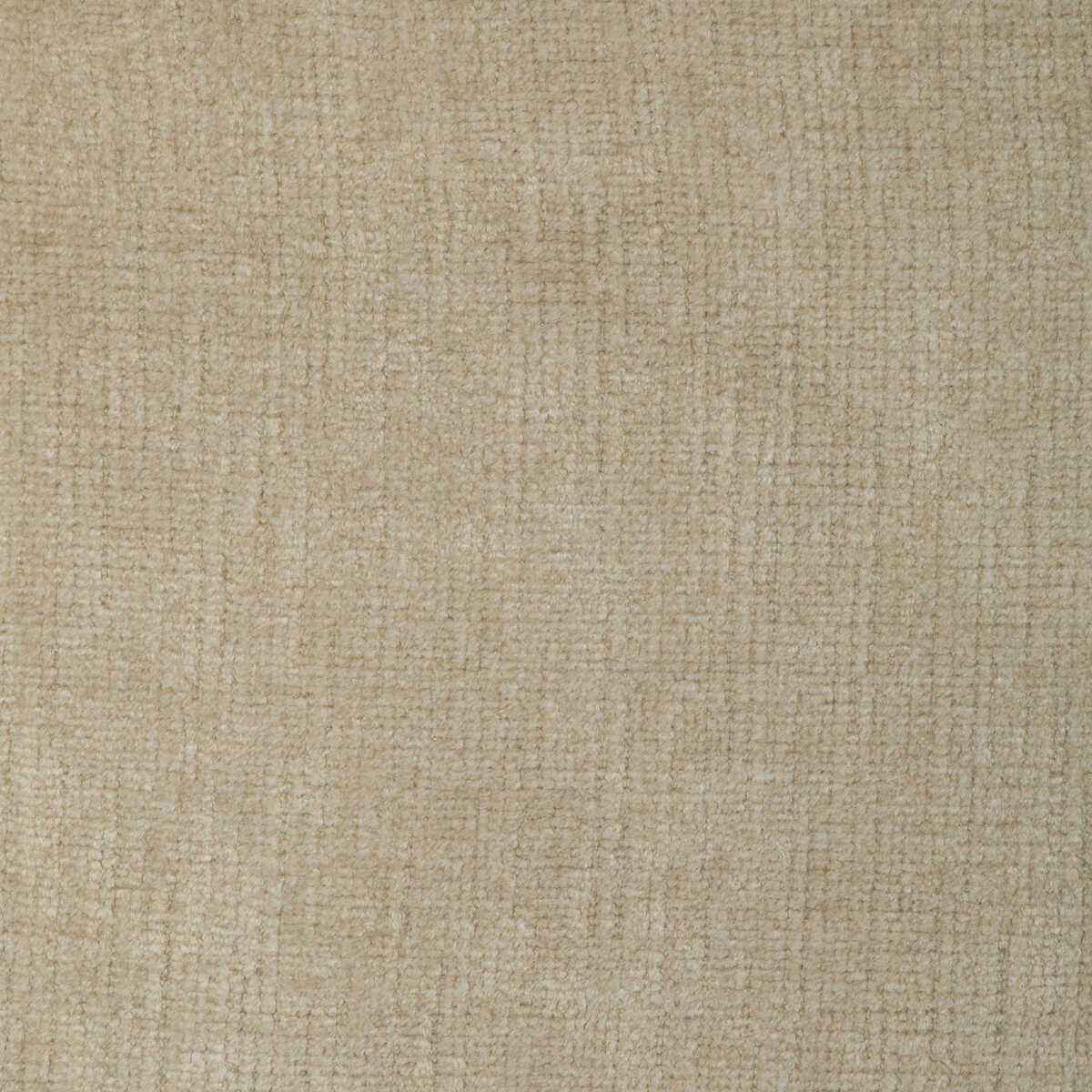 Kravet Smart 36995 111 Fabric