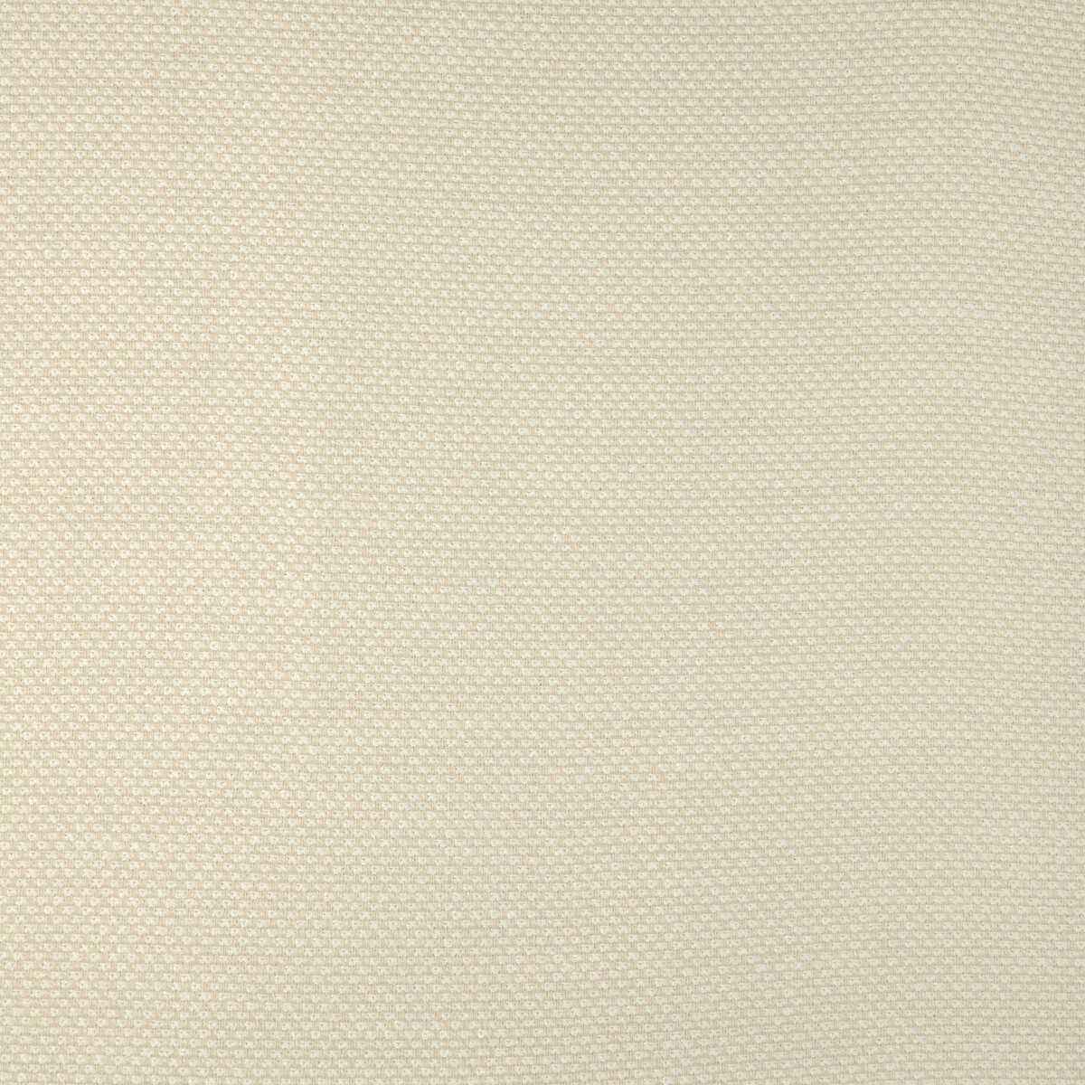 Kravet Smart 36999 1 Fabric