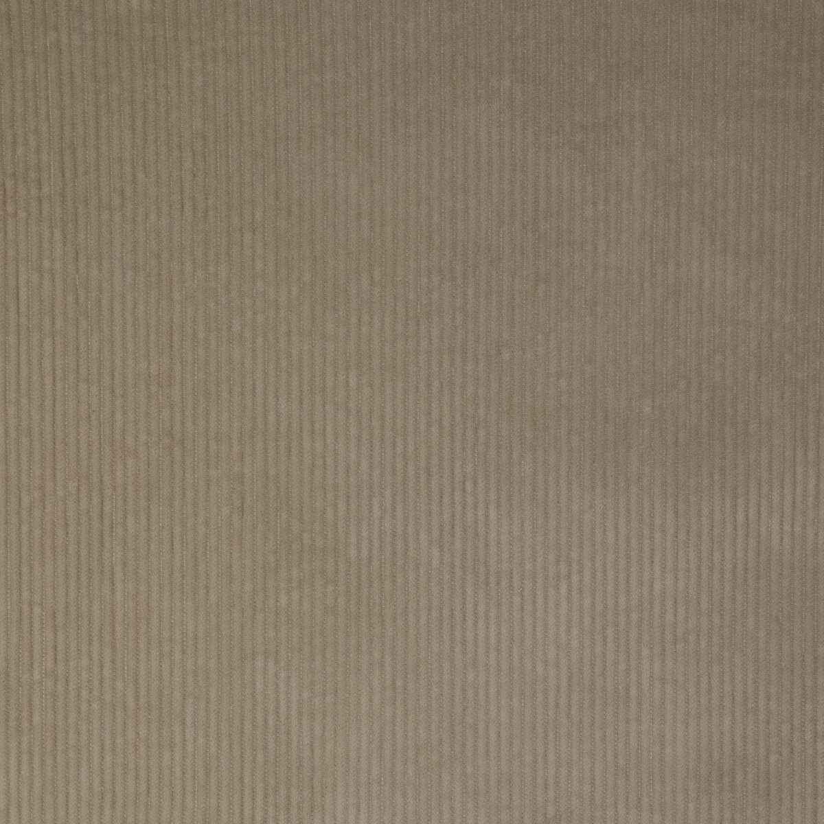 Kravet Smart 37006 106 Fabric