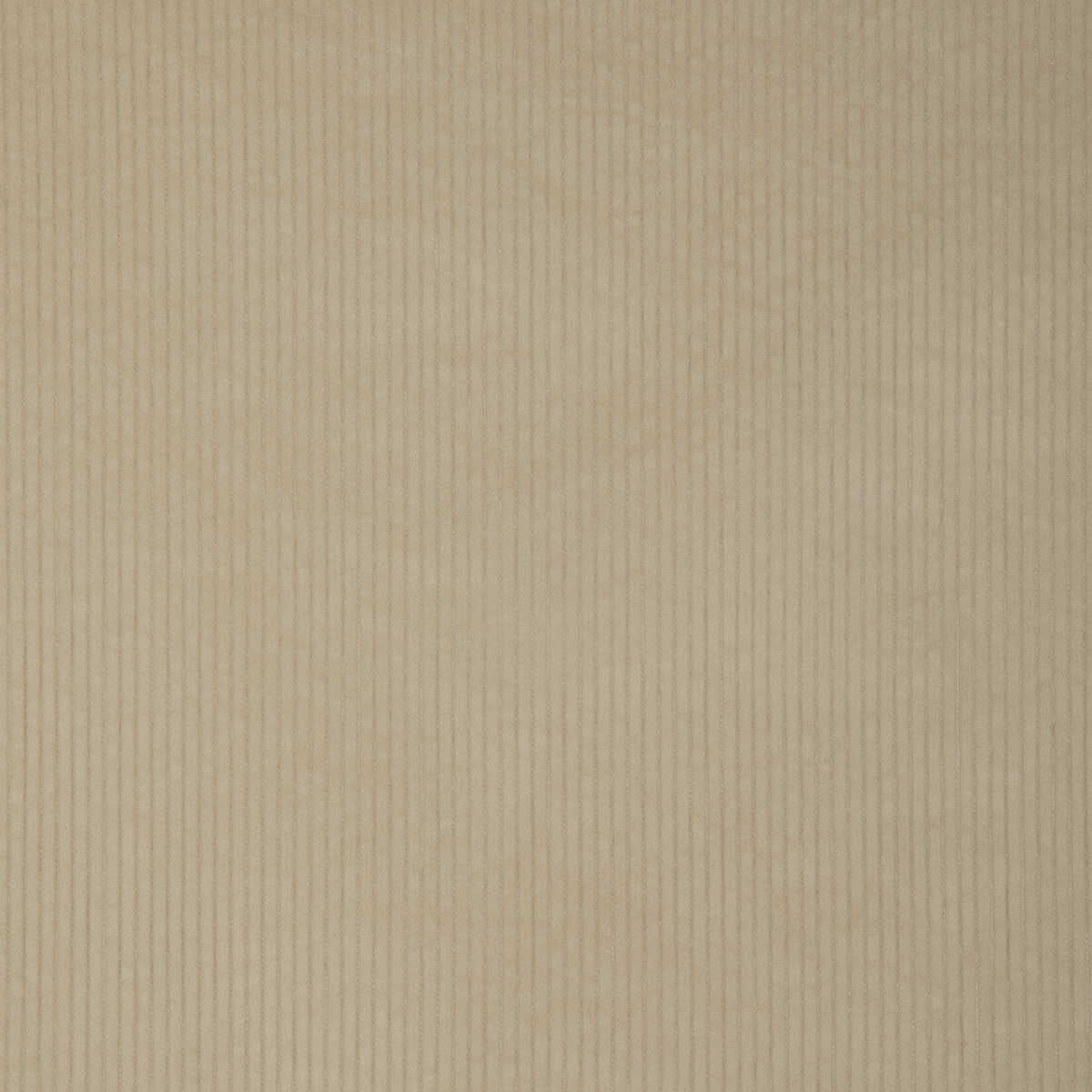 Kravet Smart - 37006-1116 - KRAVET SMART Fabric