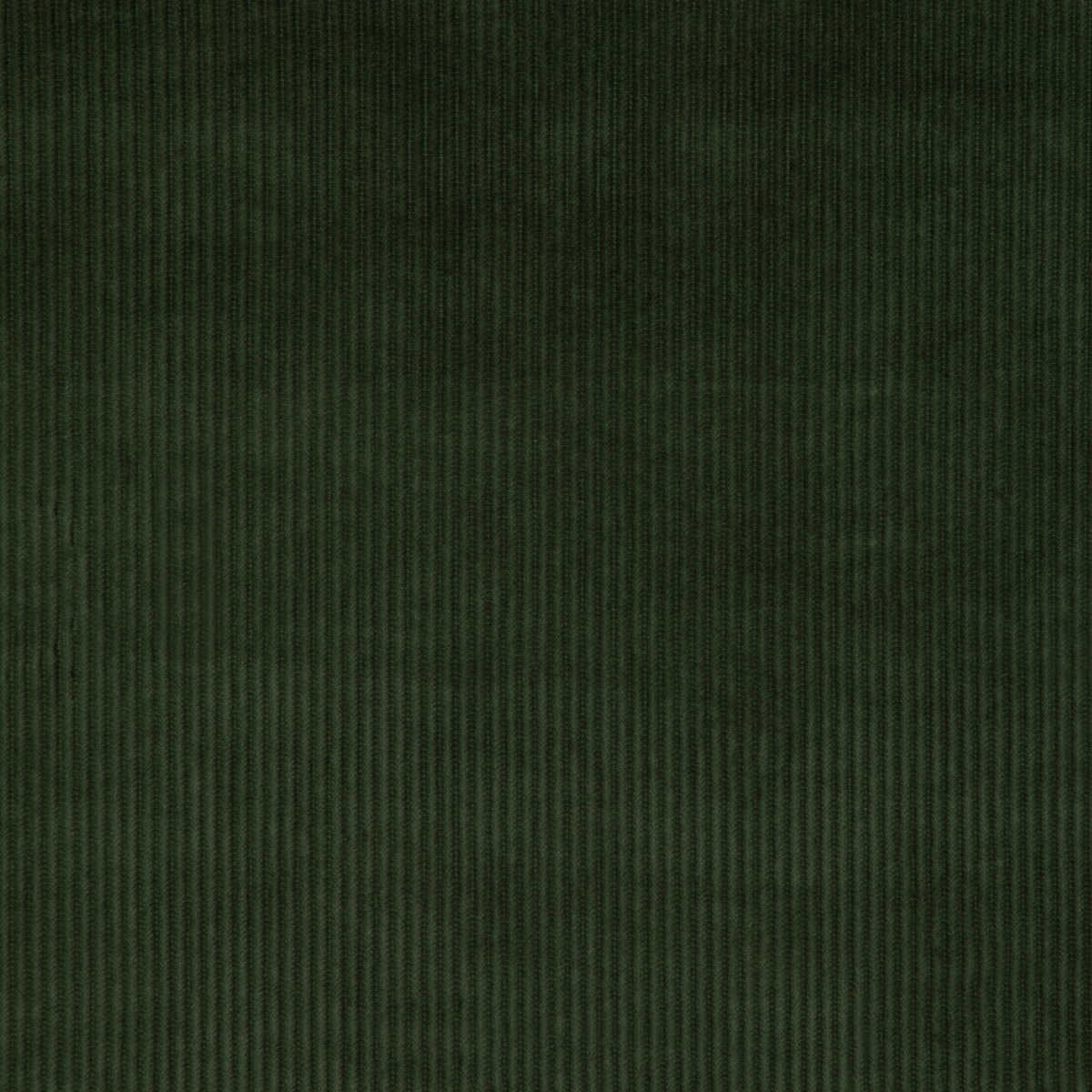 Kravet Smart - 37006-3333 - KRAVET SMART Fabric