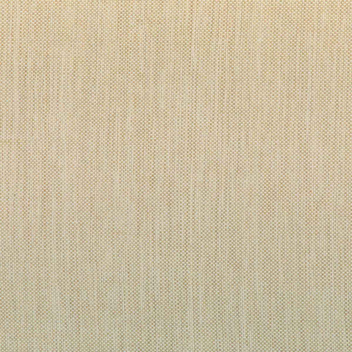 Kravet Smart 37016 166 Fabric