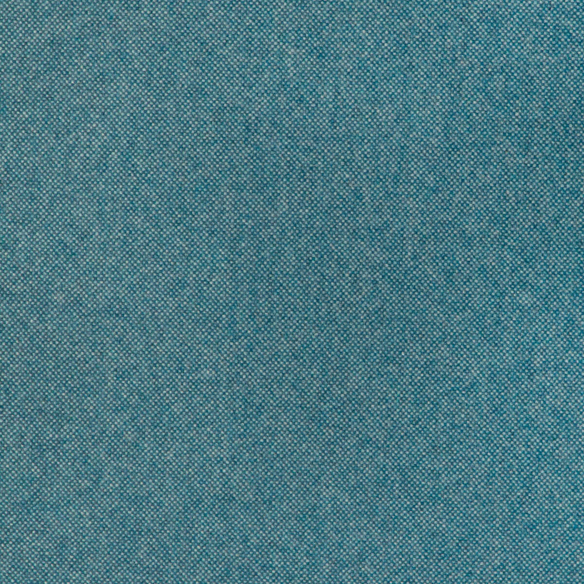 Manchester Wool - Pool